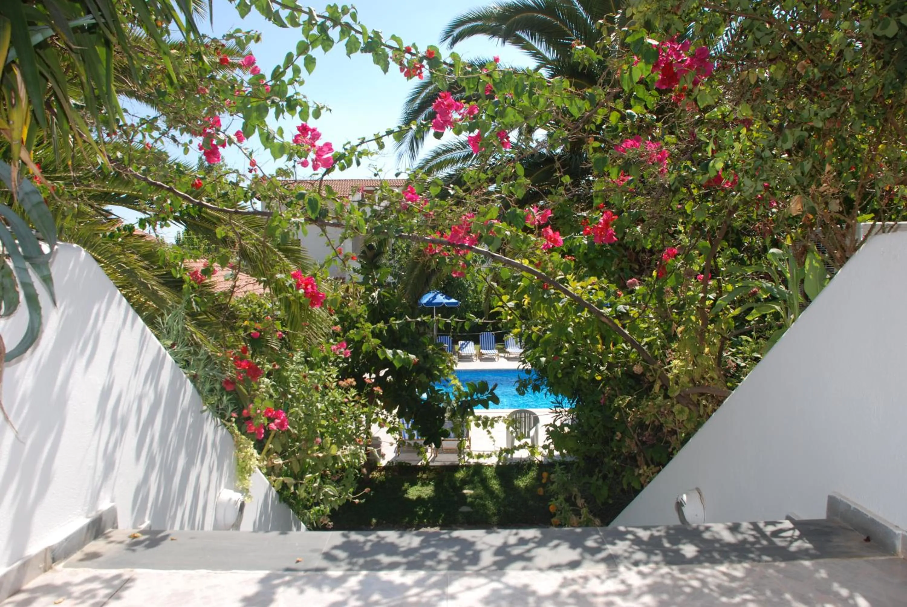 Lobby or reception in Anna Studios