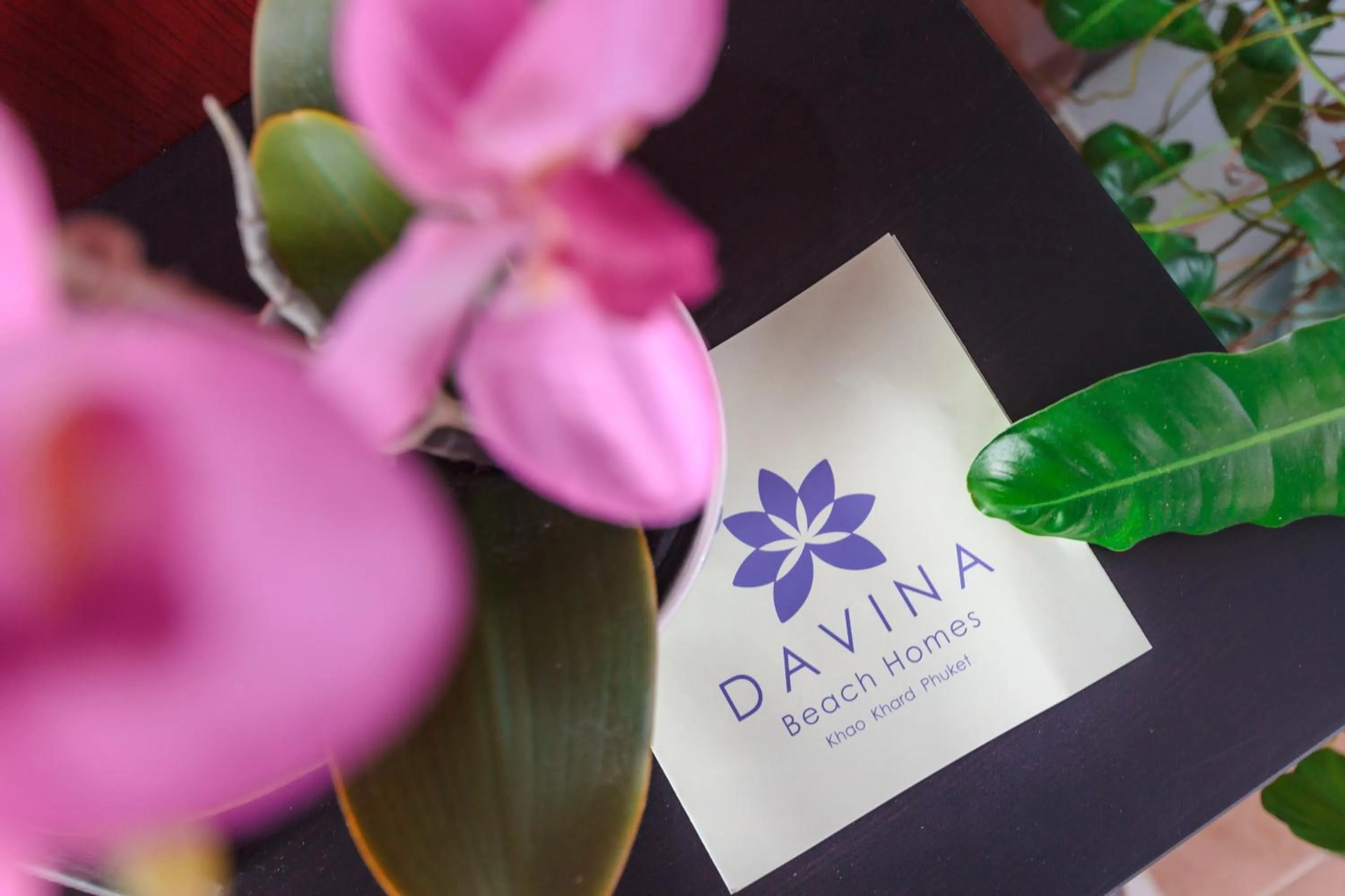 Property logo or sign in Davina Beach Homes