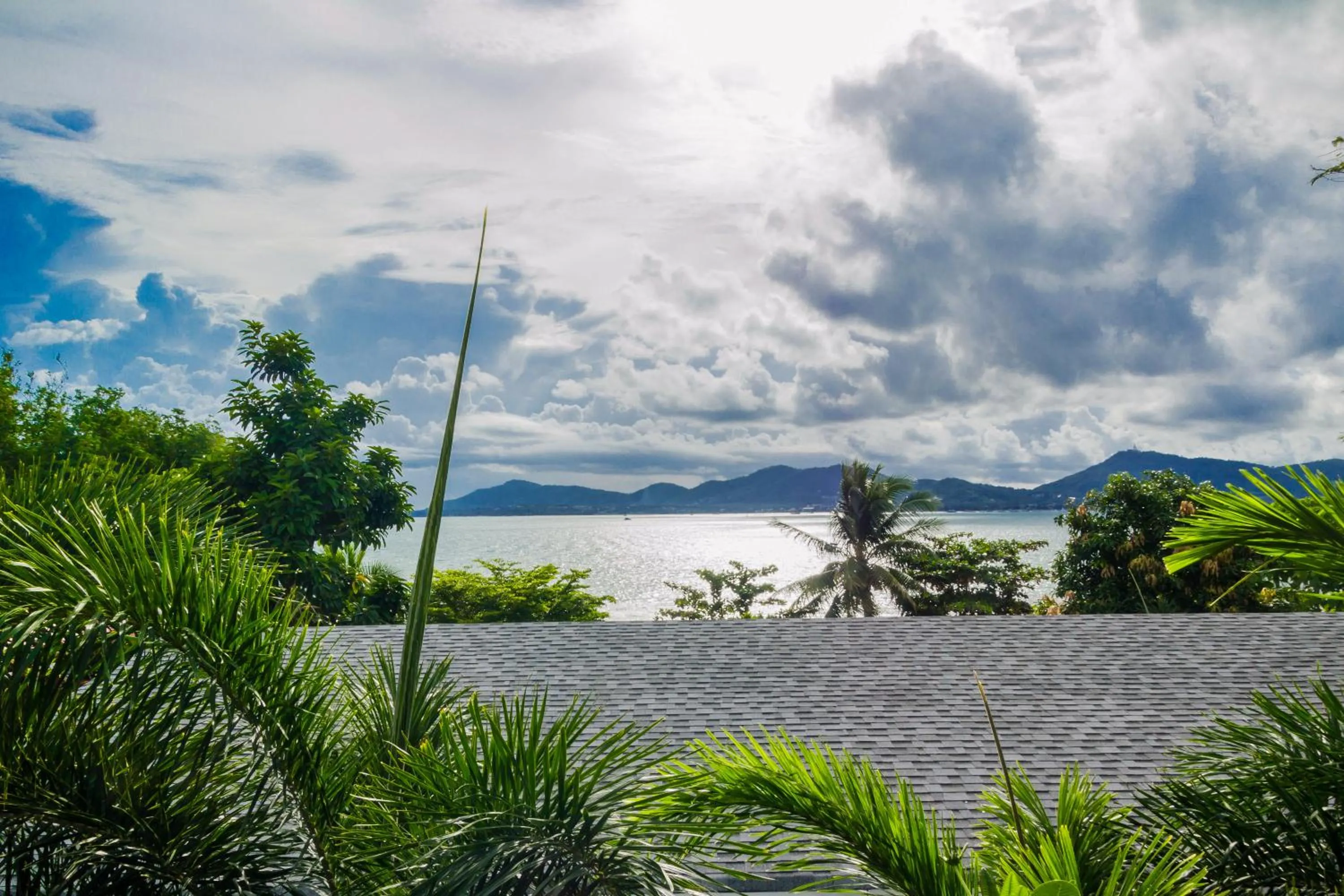 Natural landscape in Davina Beach Homes