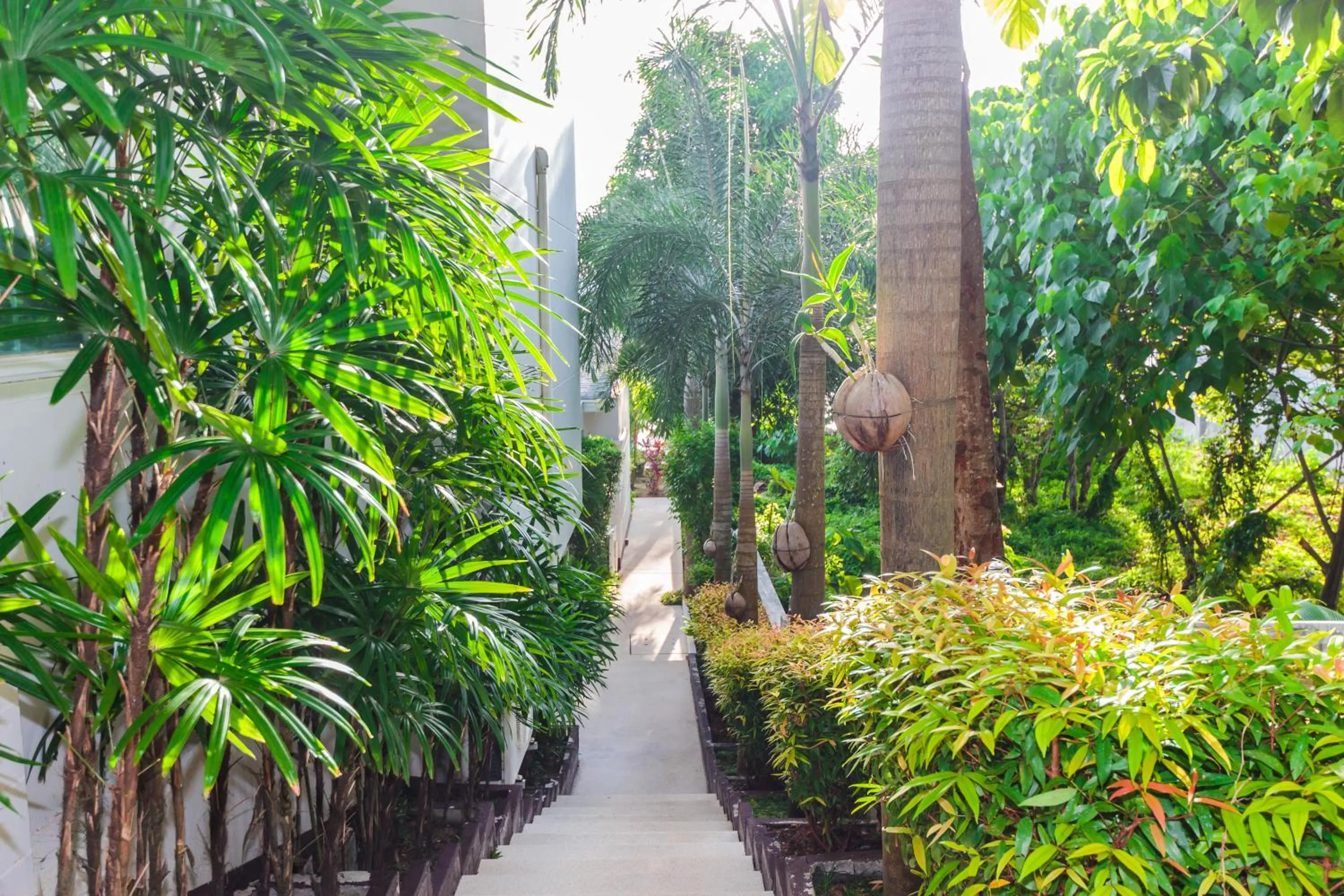 Property building in Davina Beach Homes