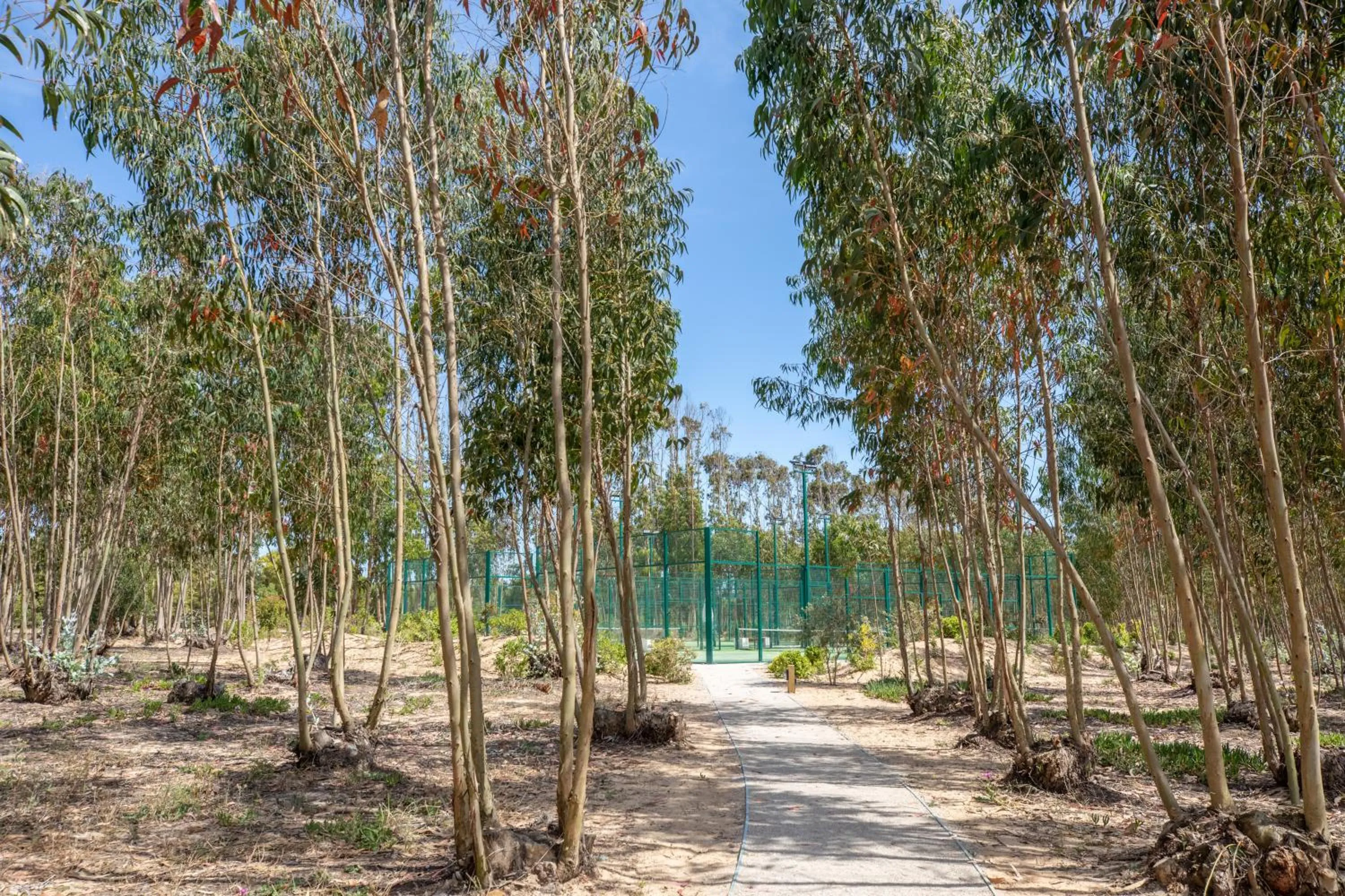 Tennis court in Monte da Bemposta