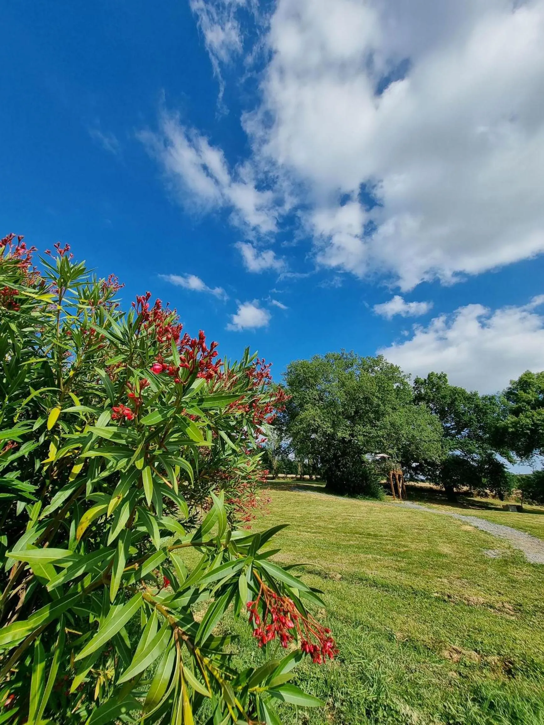 Property building in les bulles perchées de lartigue
