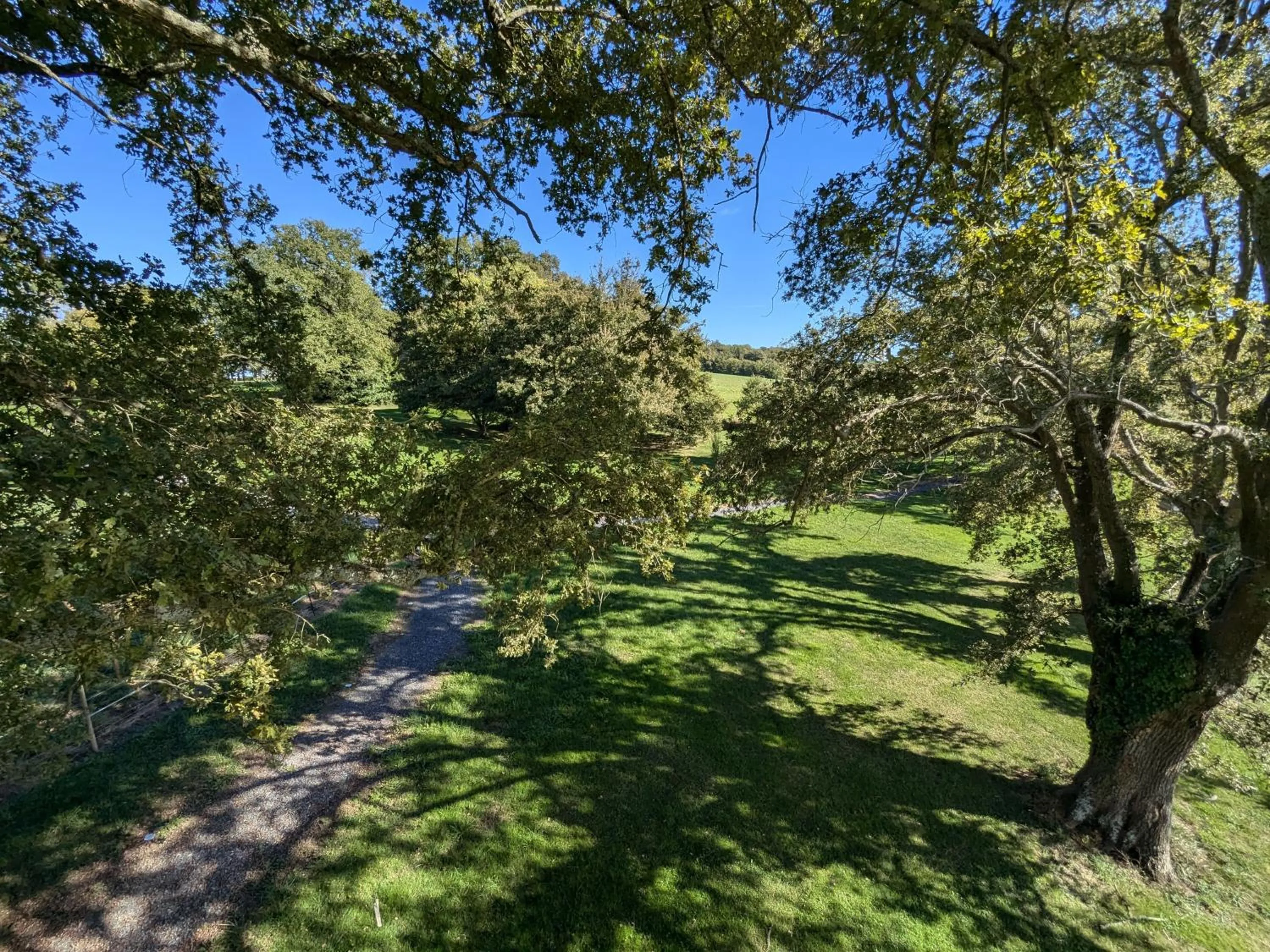 Spring in les bulles perchées de lartigue