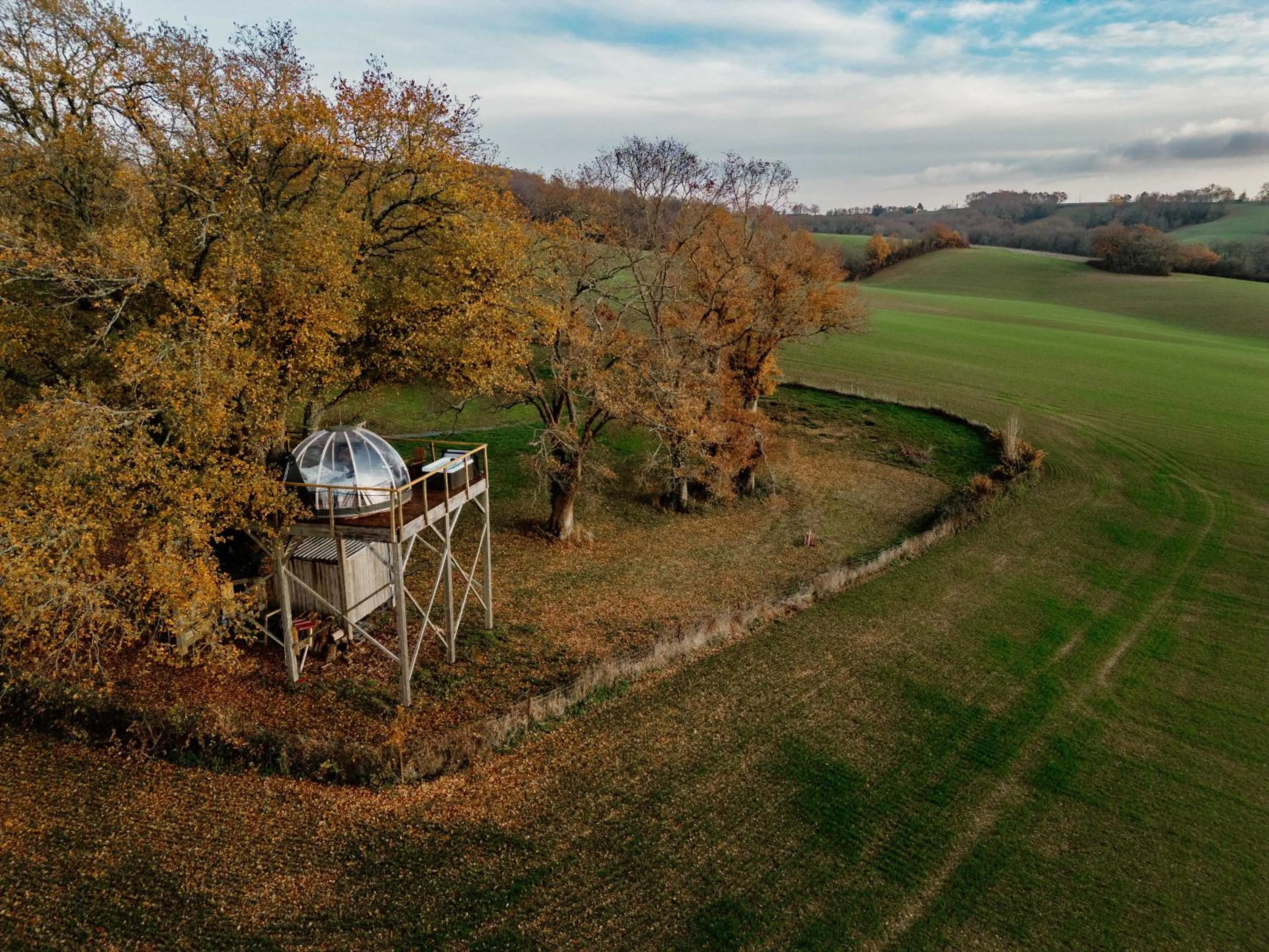 les bulles perchées de lartigue