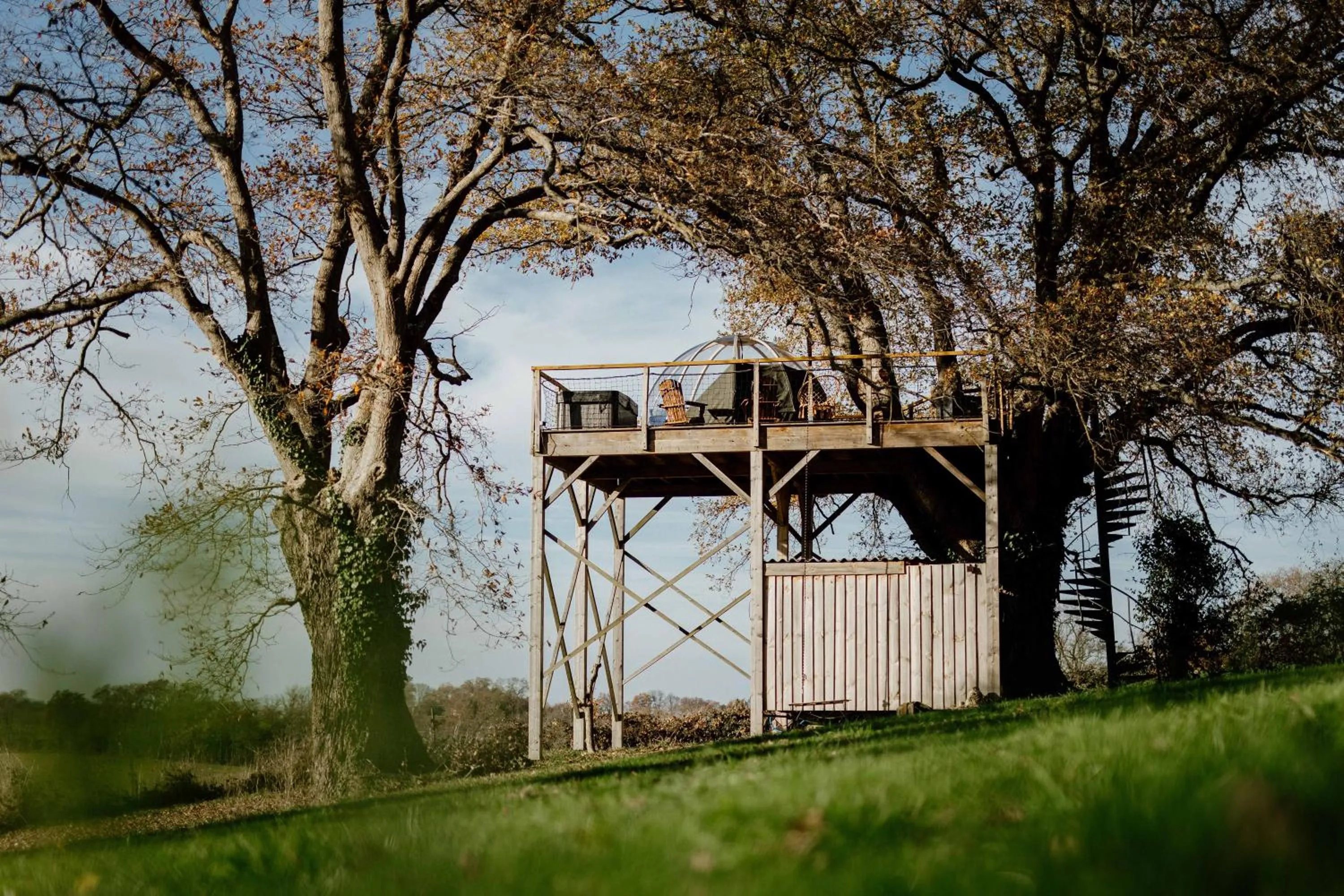 les bulles perchées de lartigue