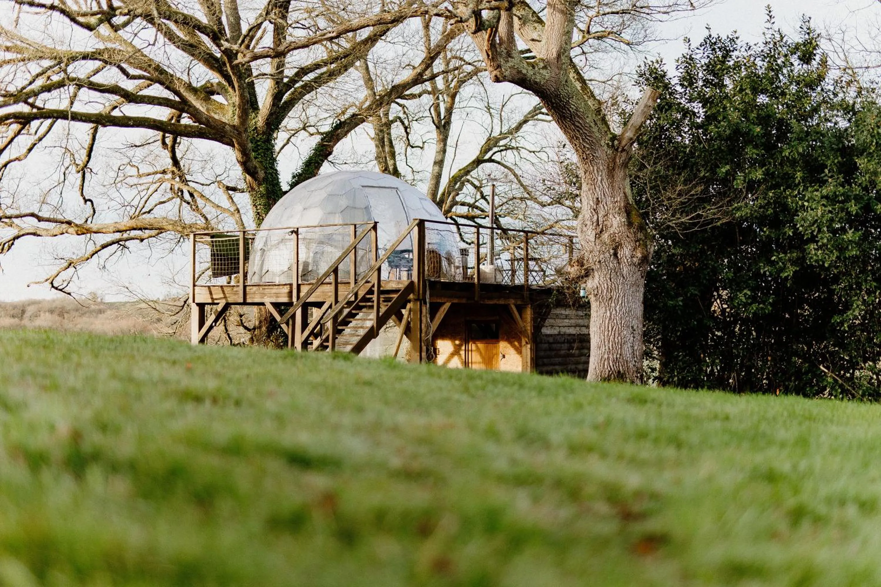 les bulles perchées de lartigue