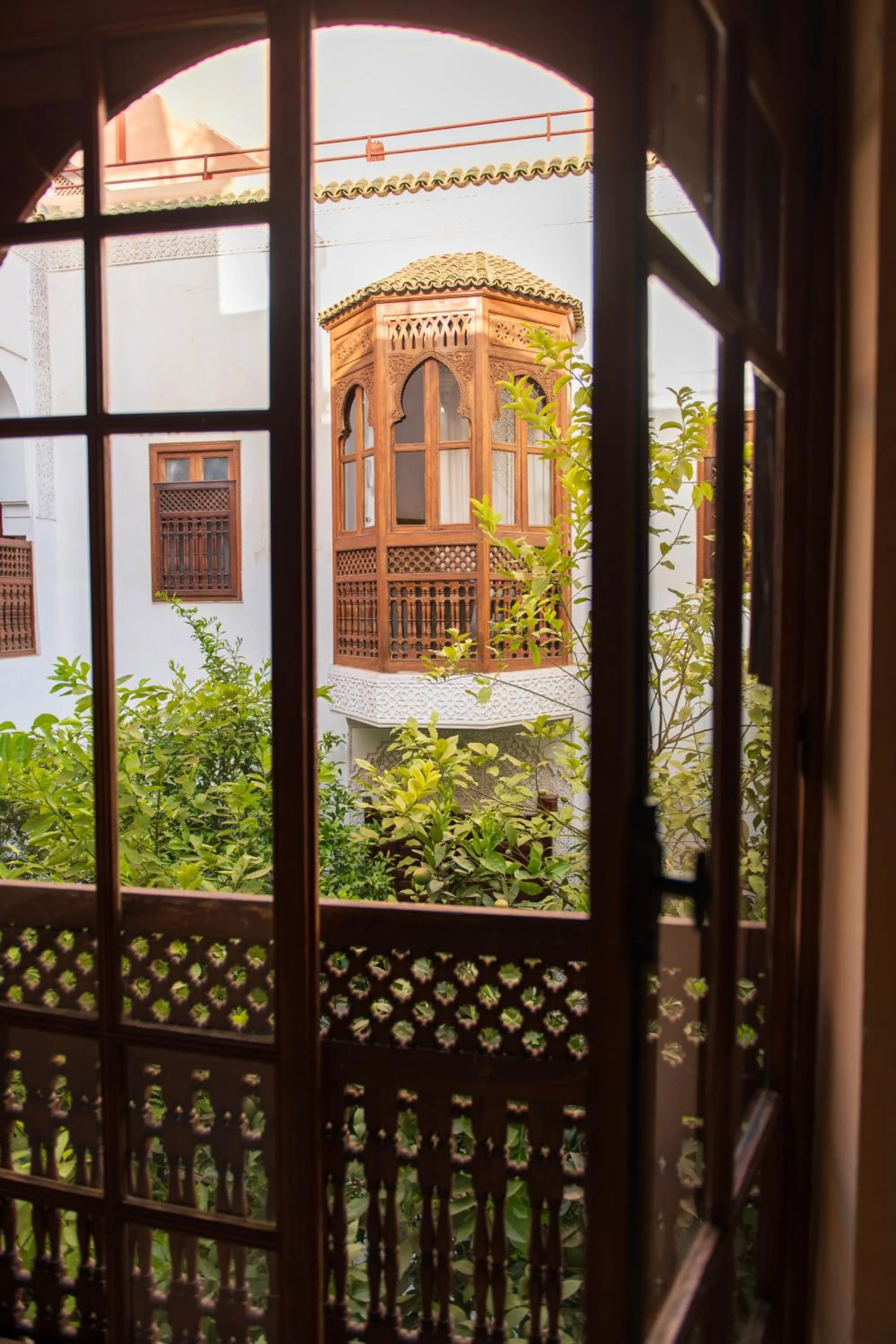 Riad Ben Youssef