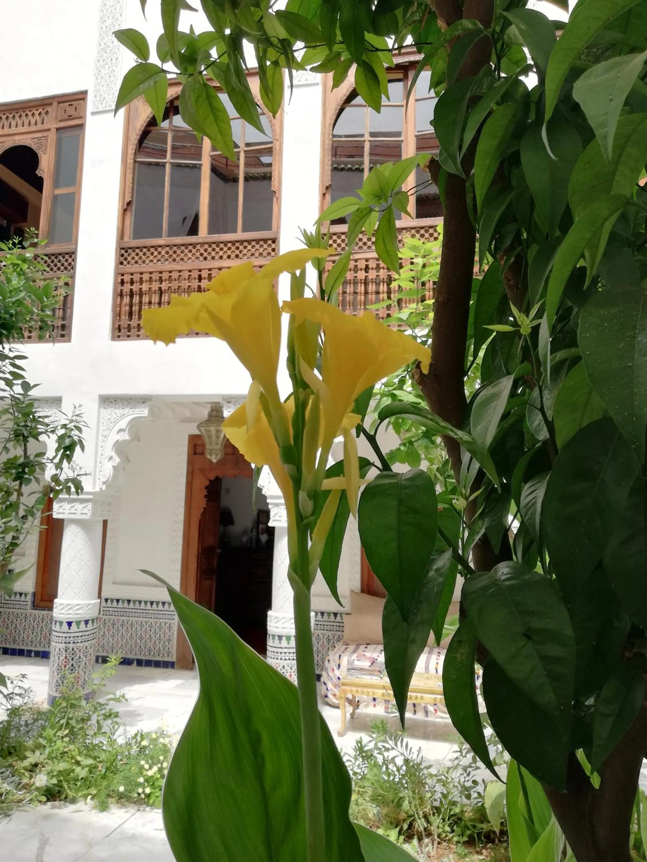 Garden view in Riad Ben Youssef