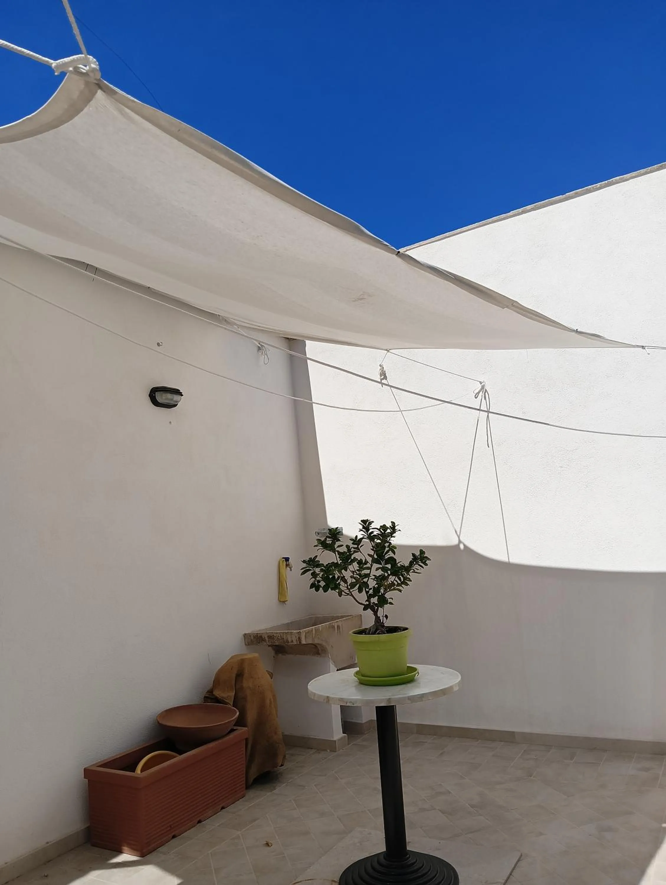 Piccola Azzurra Branch