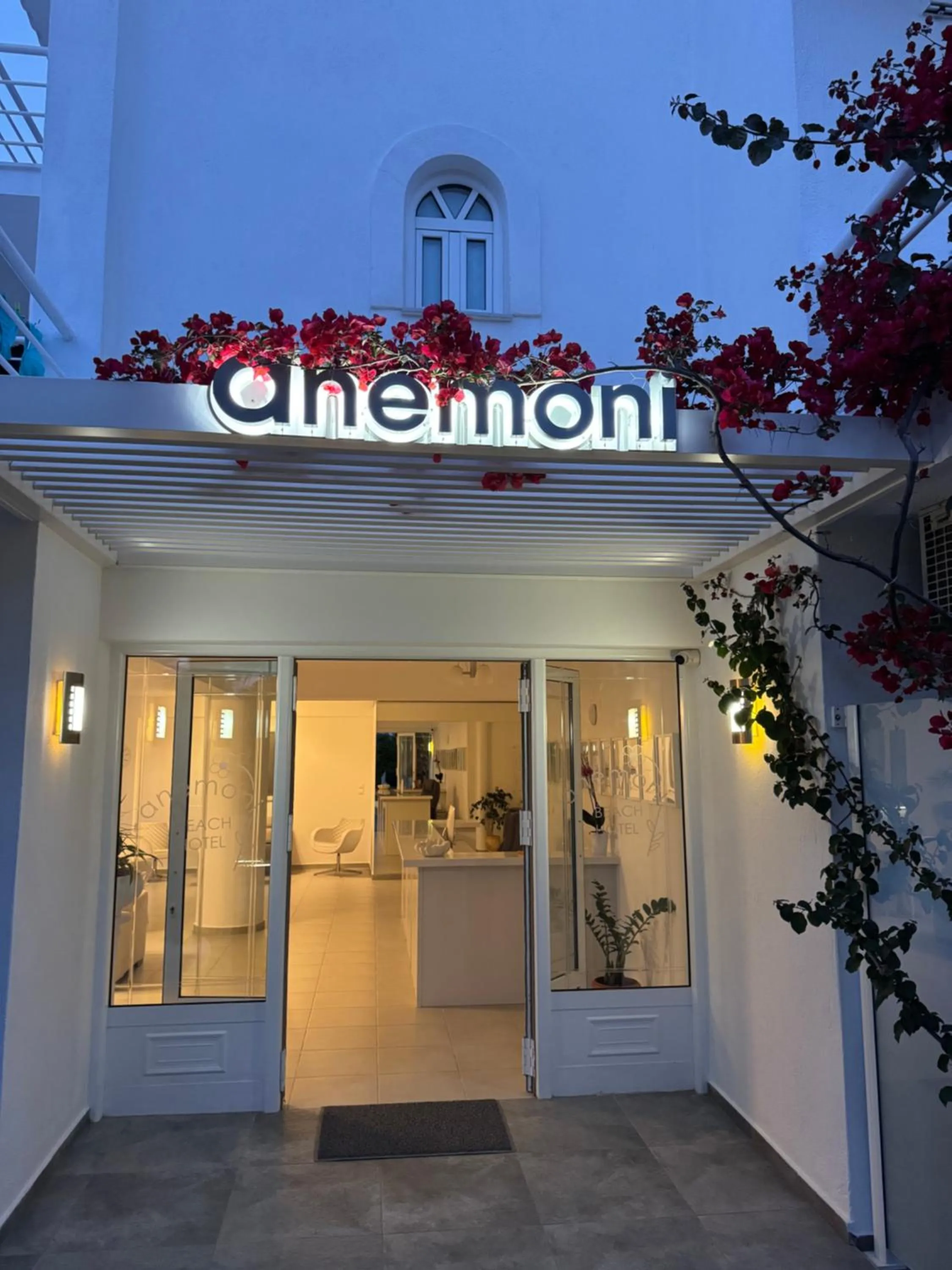 Facade/entrance in Anemoni Beach Hotel