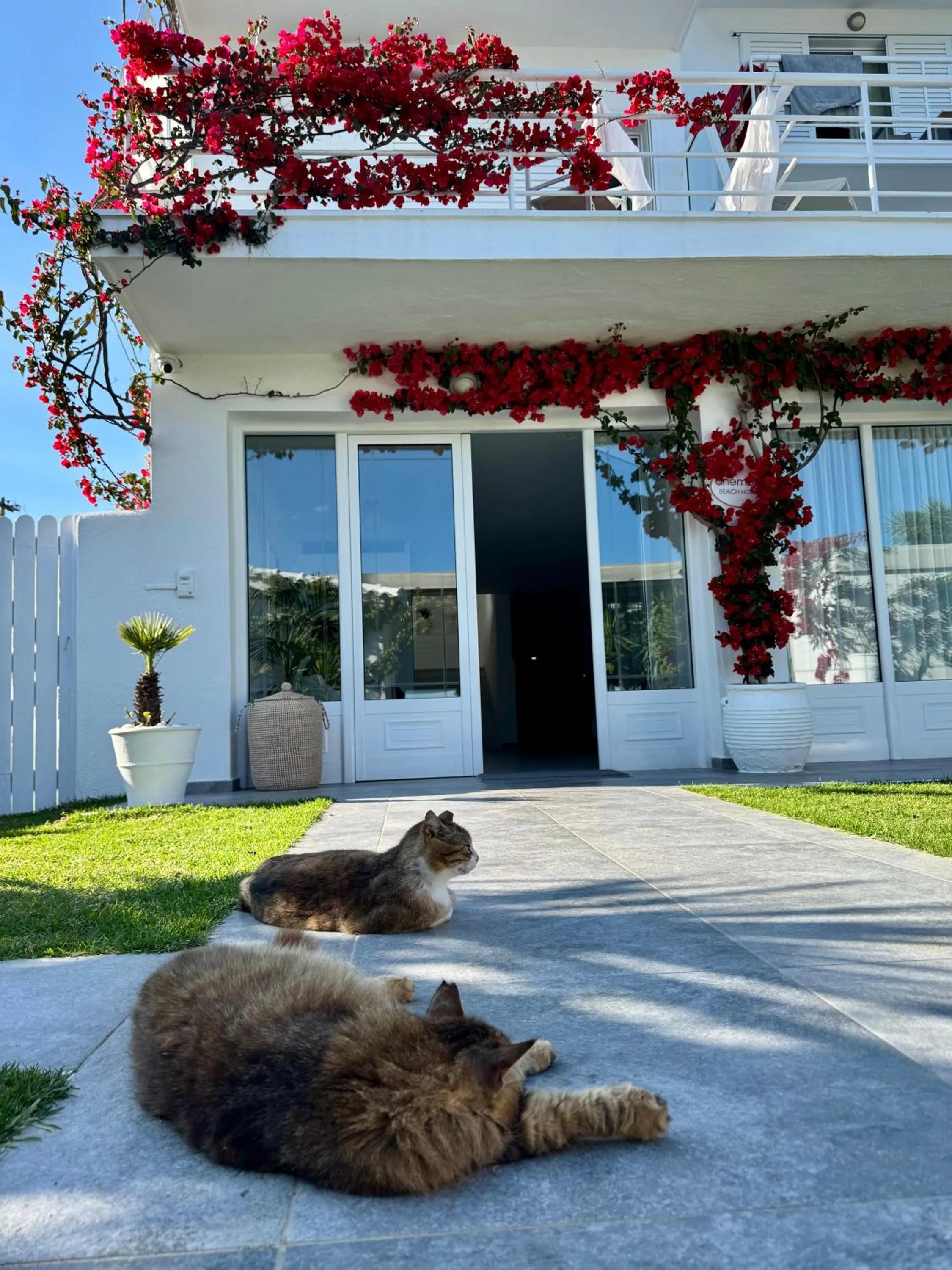 Facade/entrance in Anemoni Beach Hotel