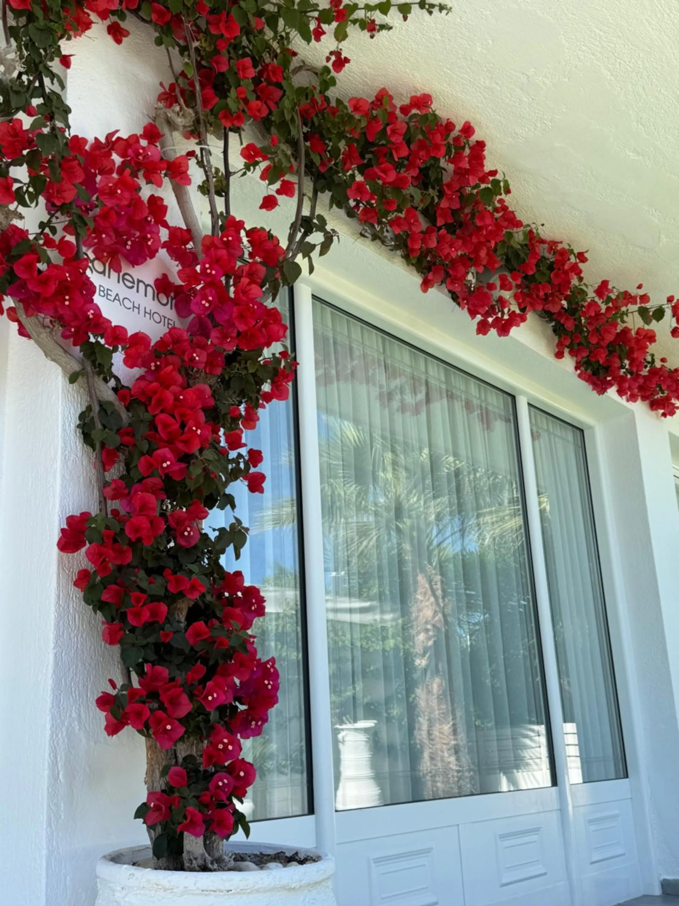 Facade/entrance in Anemoni Beach Hotel