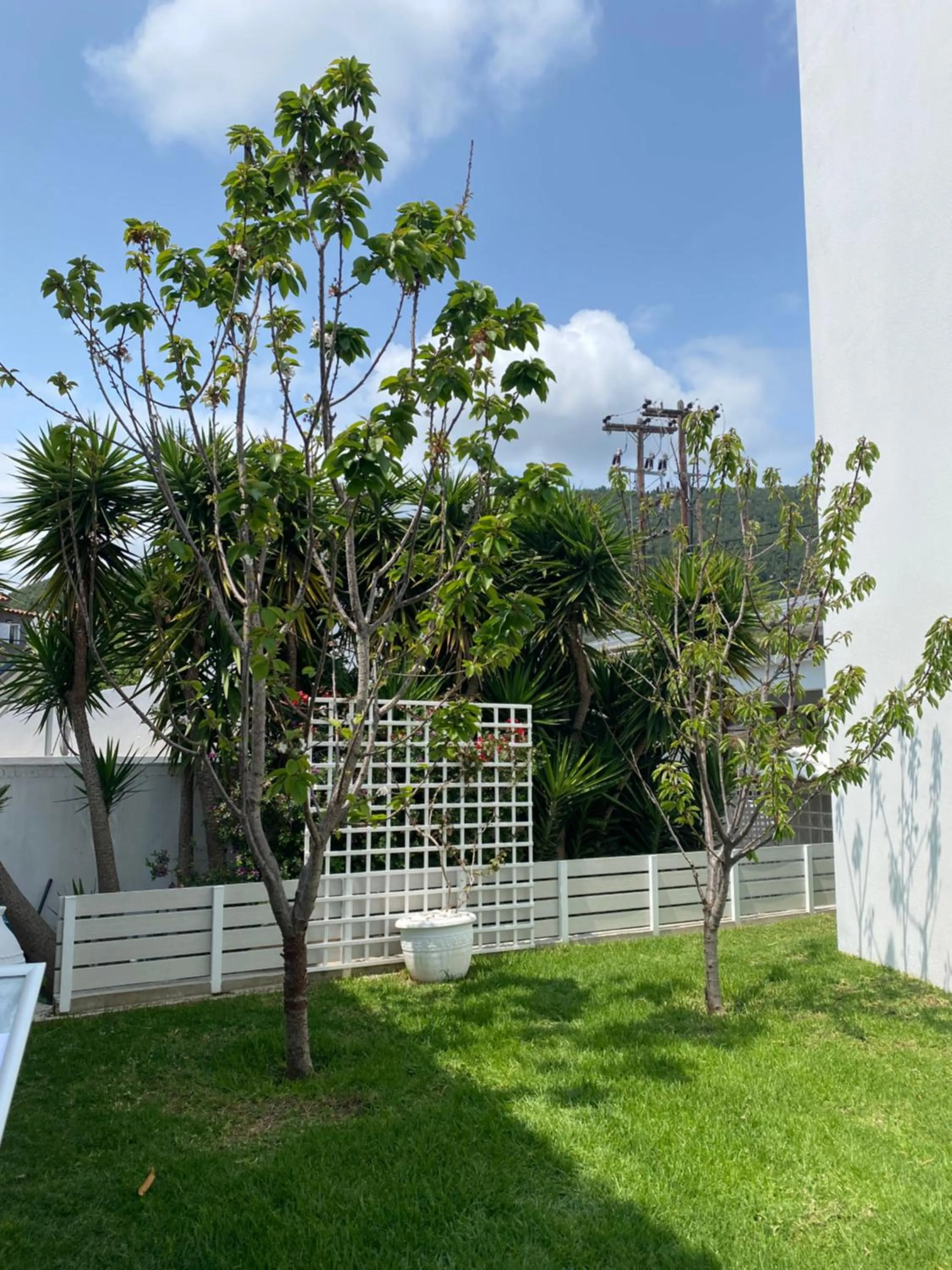 Garden in Anemoni Beach Hotel