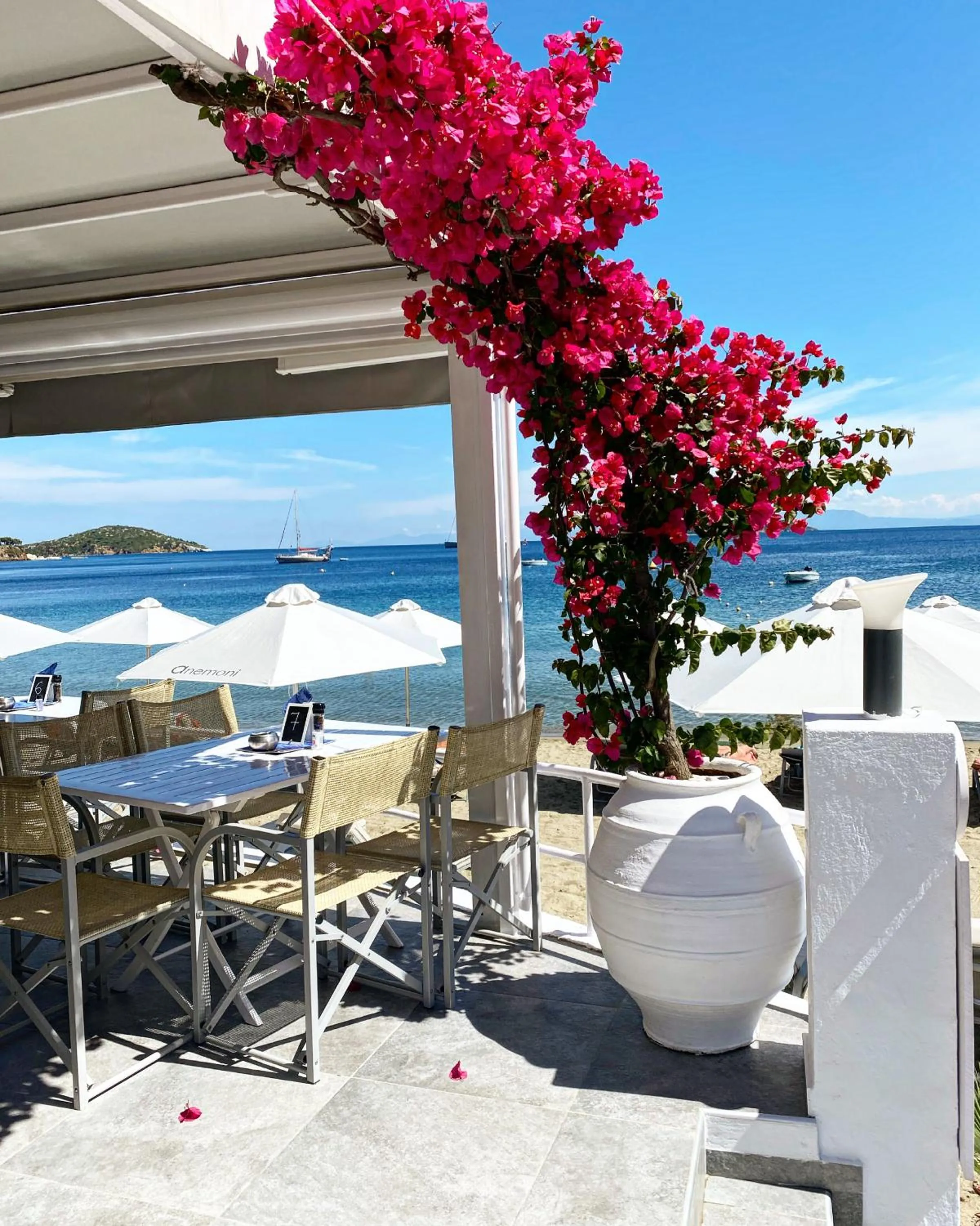 Restaurant/places to eat in Anemoni Beach Hotel