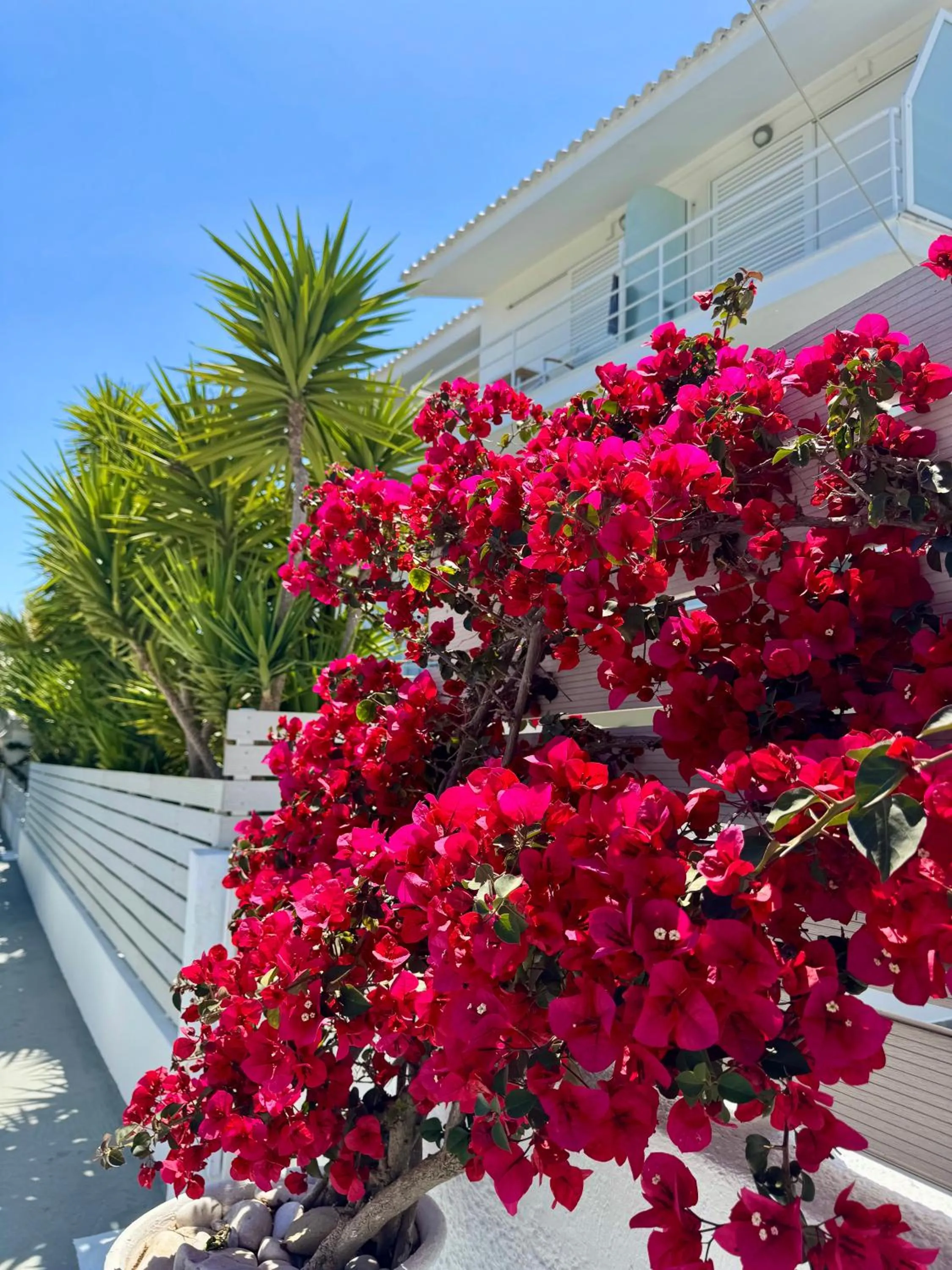 Property building in Anemoni Beach Hotel