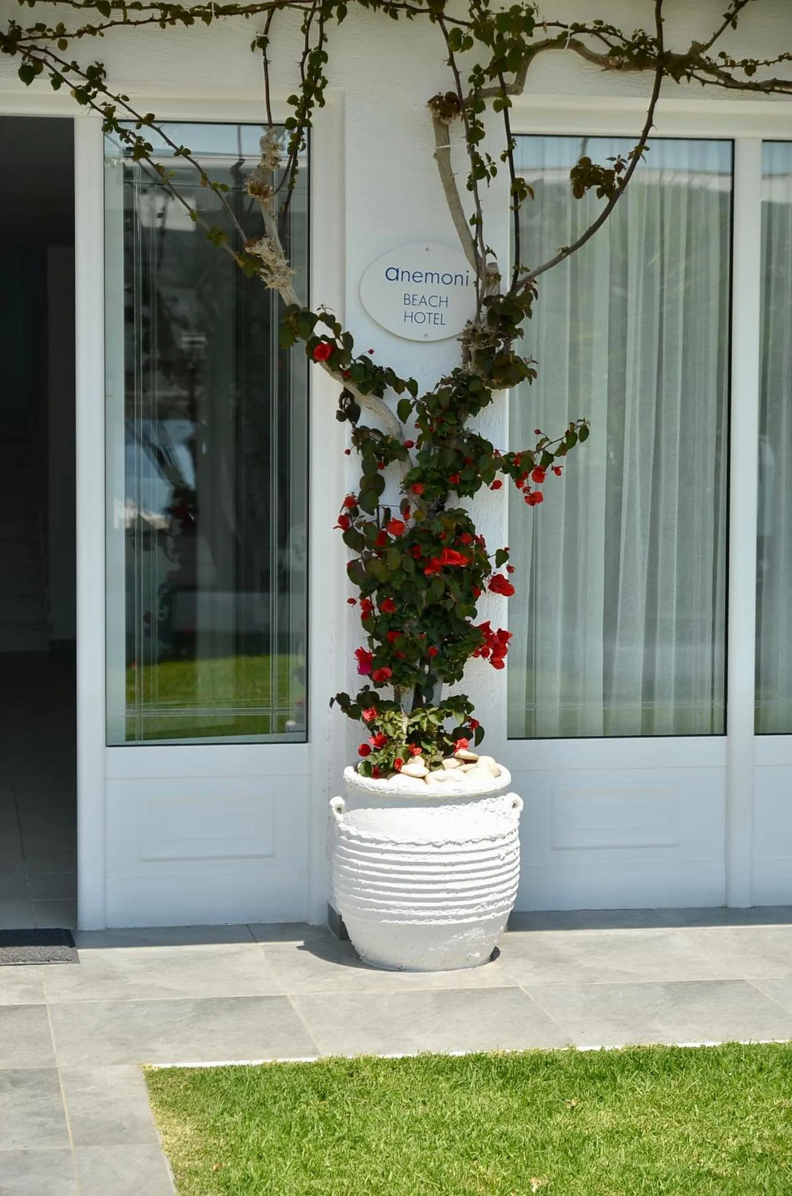 Property building in Anemoni Beach Hotel