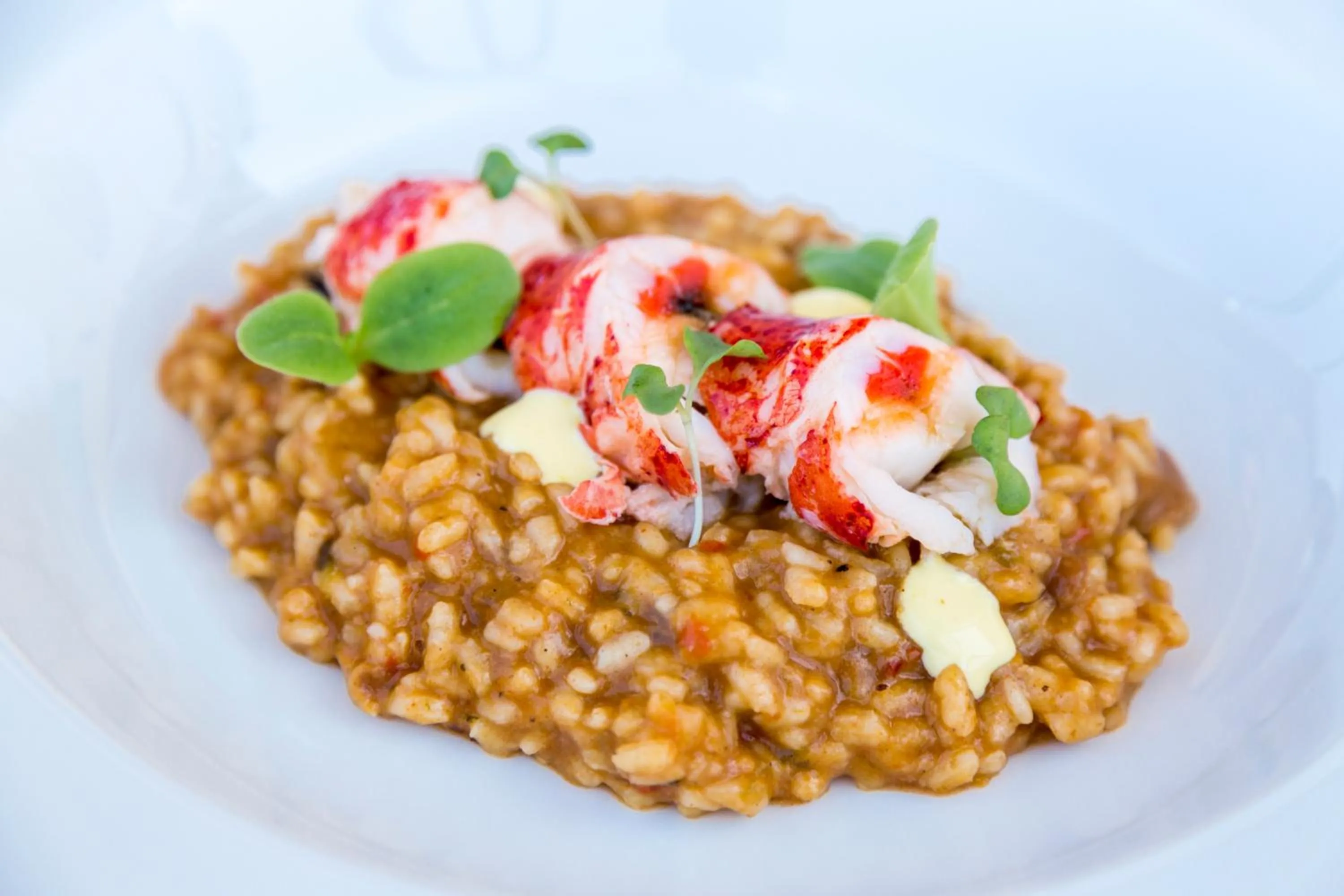 Food and drinks in Barceló Nura