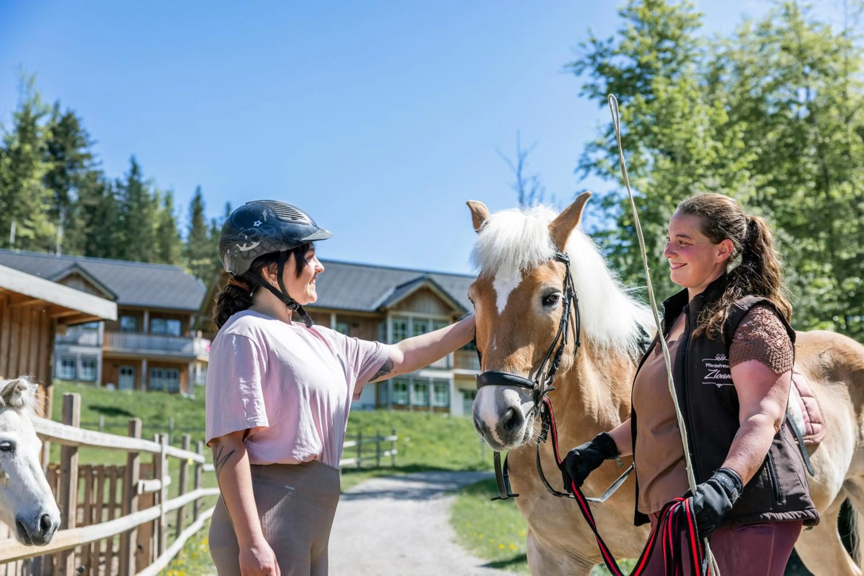 Activities in Narzissendorf Zloam