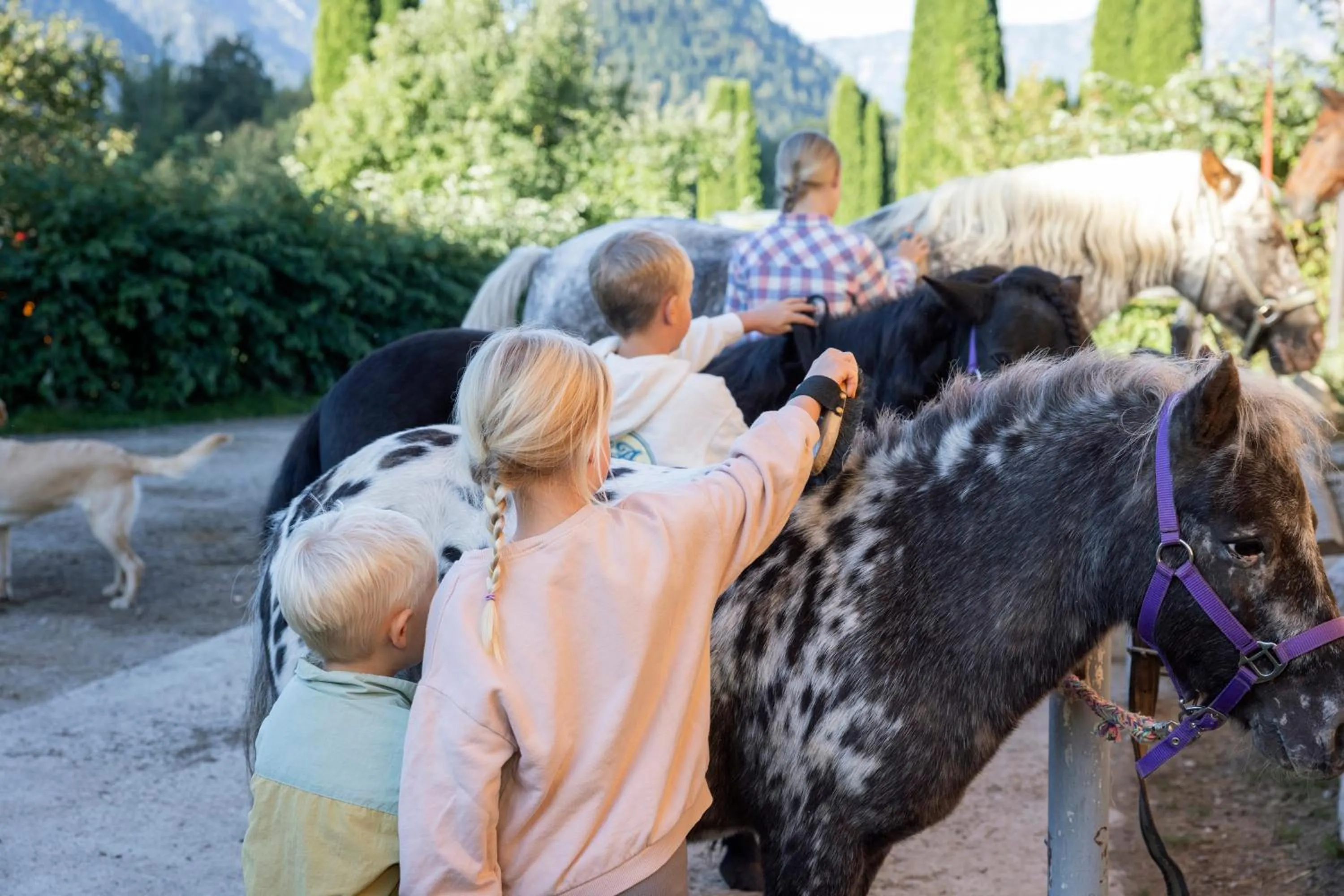 Natural landscape in Narzissendorf Zloam