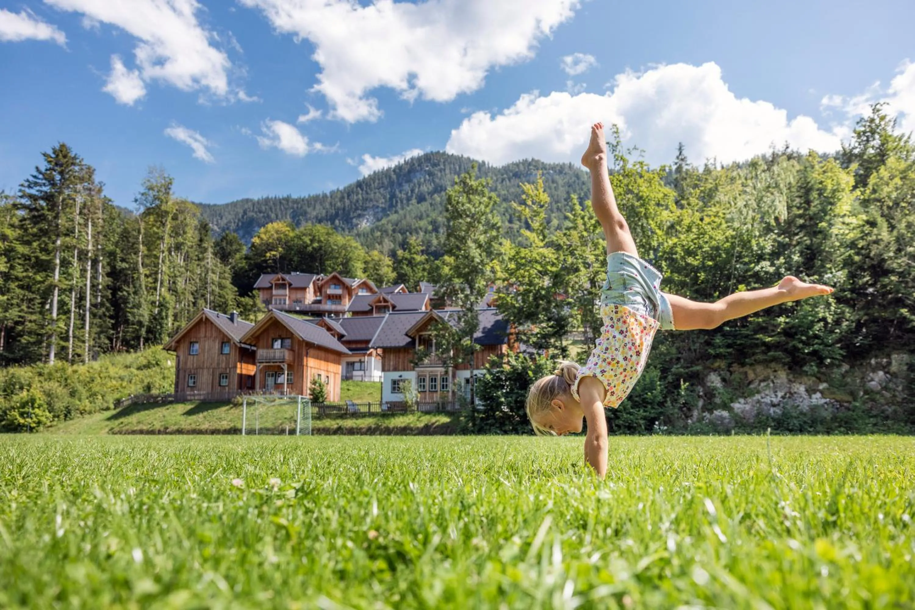 Activities in Narzissendorf Zloam