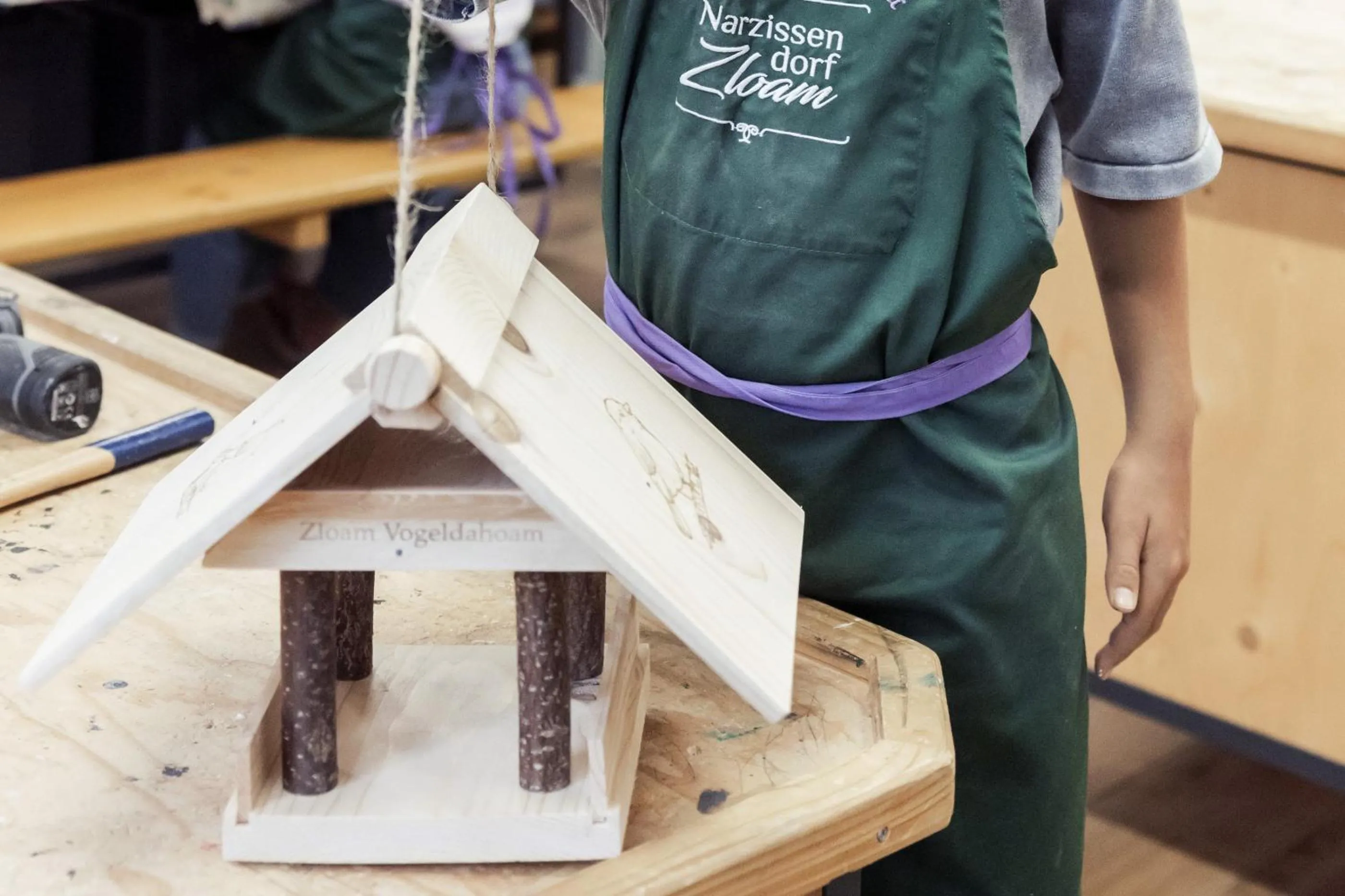 Activities in Narzissendorf Zloam