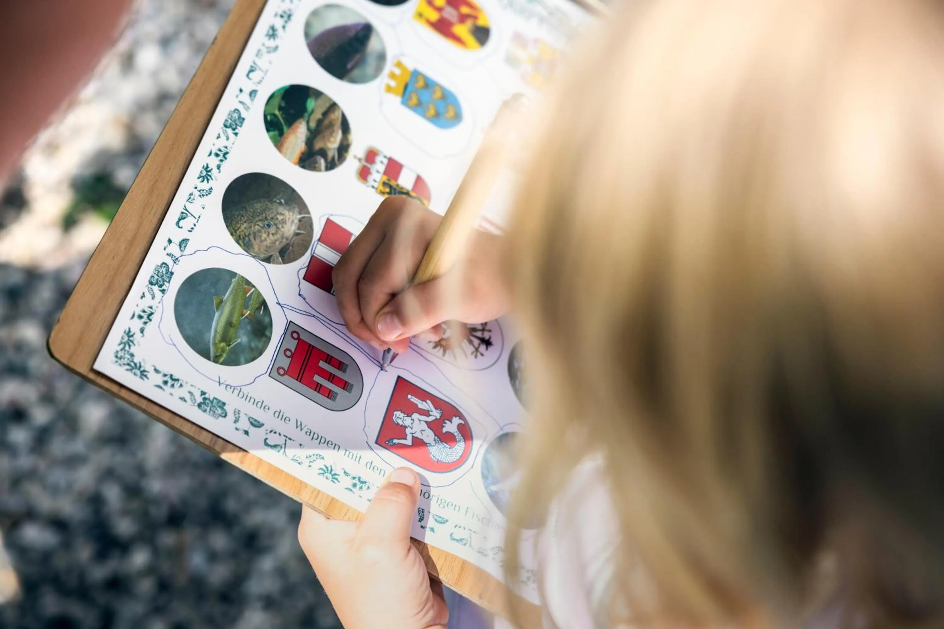 Activities in Narzissendorf Zloam