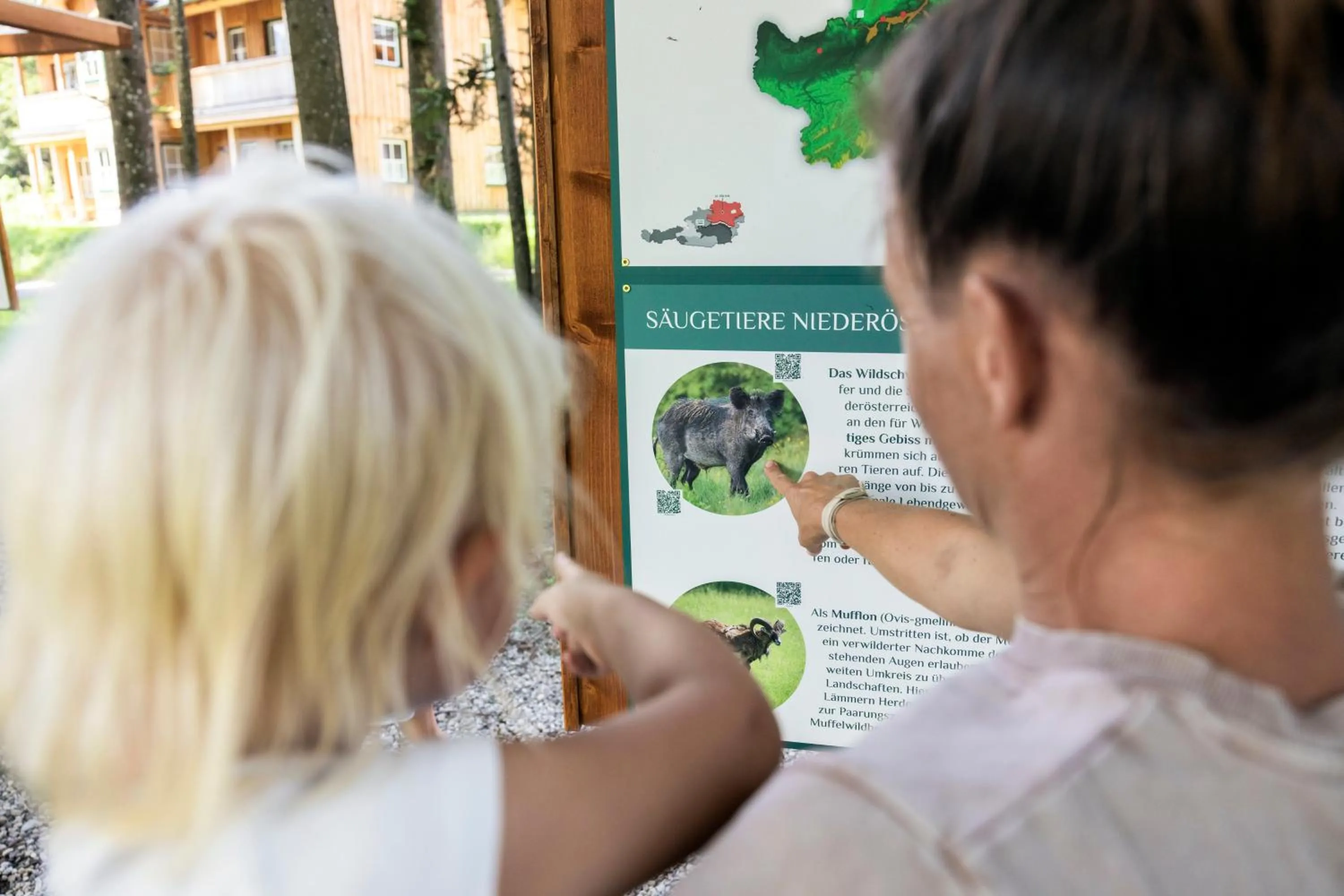 Activities in Narzissendorf Zloam