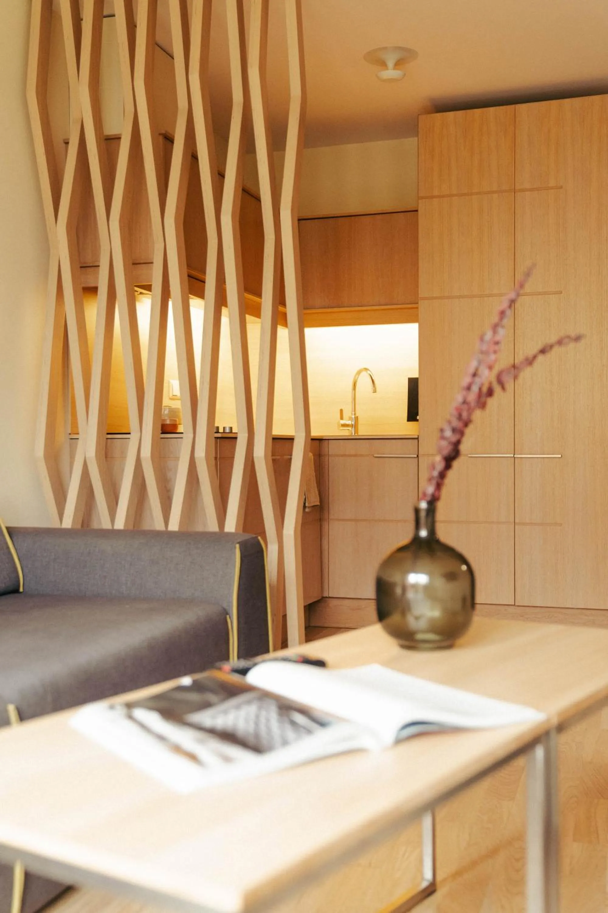 Kitchen or kitchenette in Mana Suites & Sea SPA