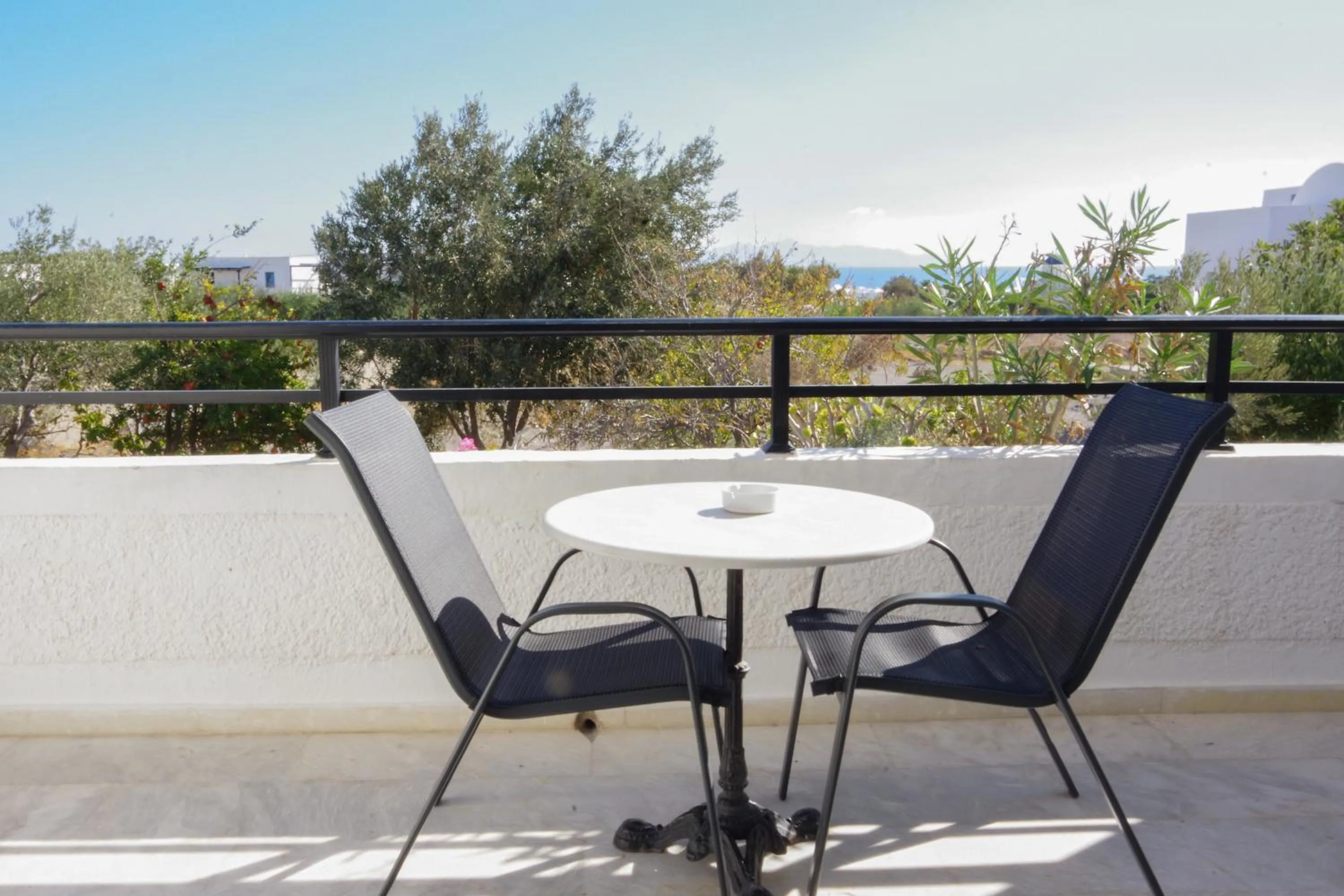 Balcony/Terrace in HOTEL MOHITERO