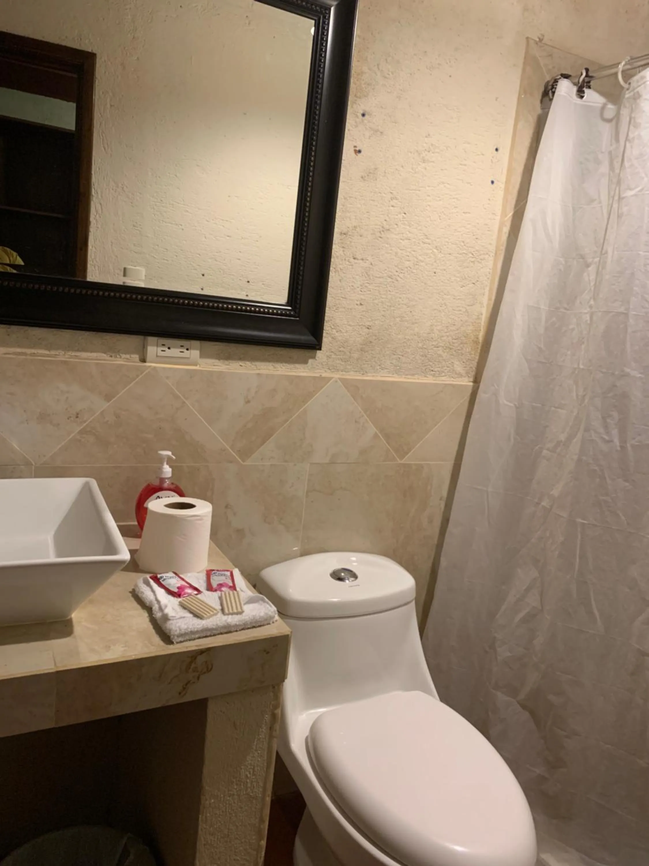 Hotel Mansion Del Rey