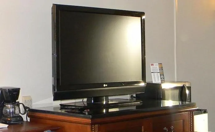 TV and multimedia in Downtown Inn