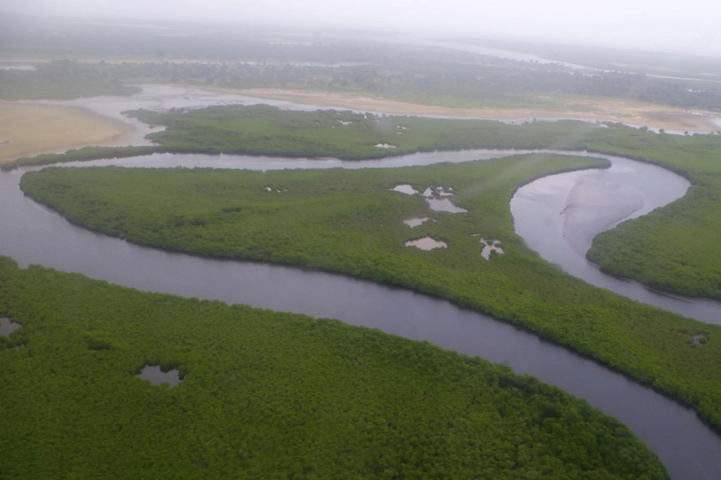 Natural landscape in Les Palétuviers