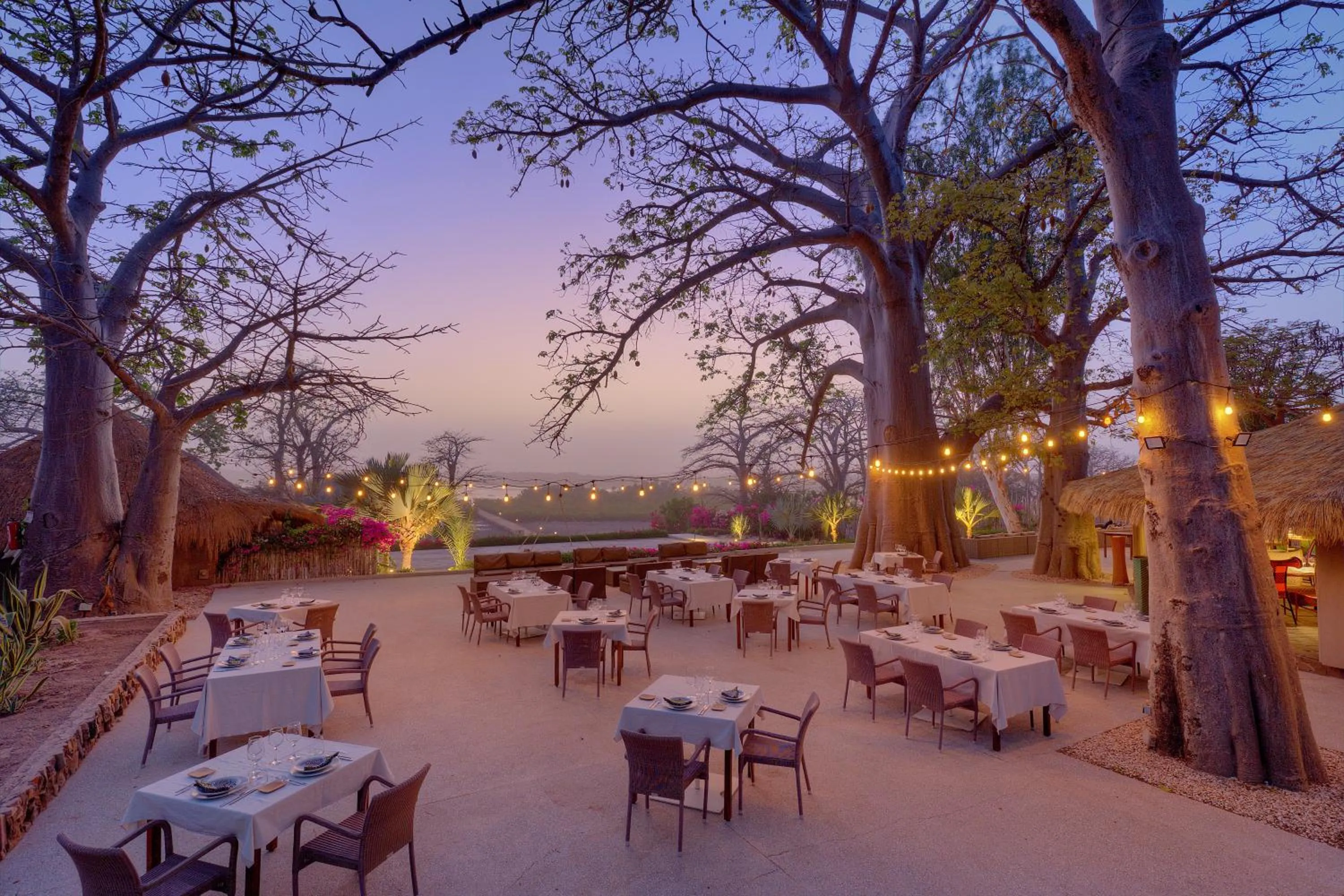 Restaurant/places to eat in Les Palétuviers