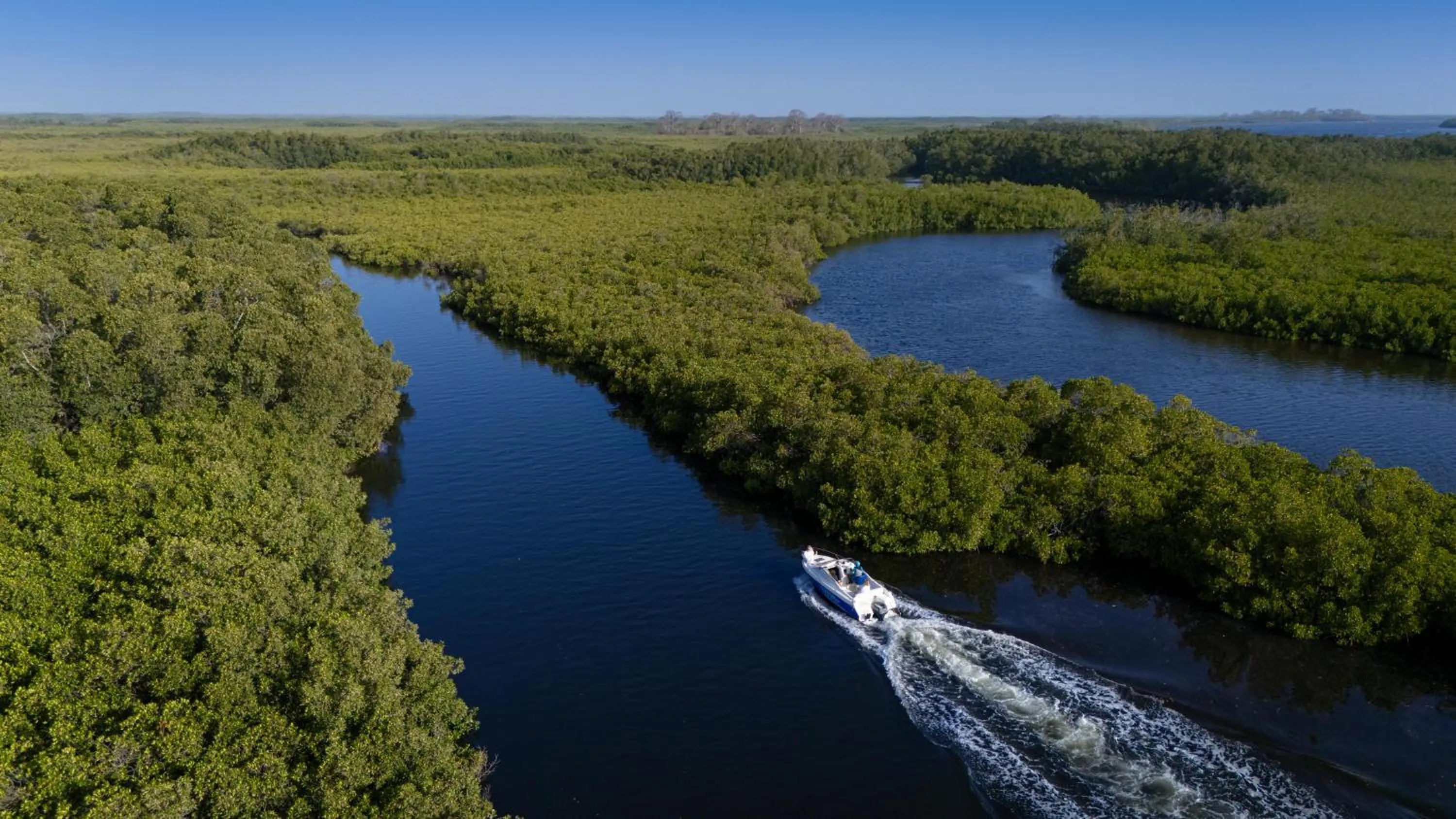 Off site in Les Palétuviers