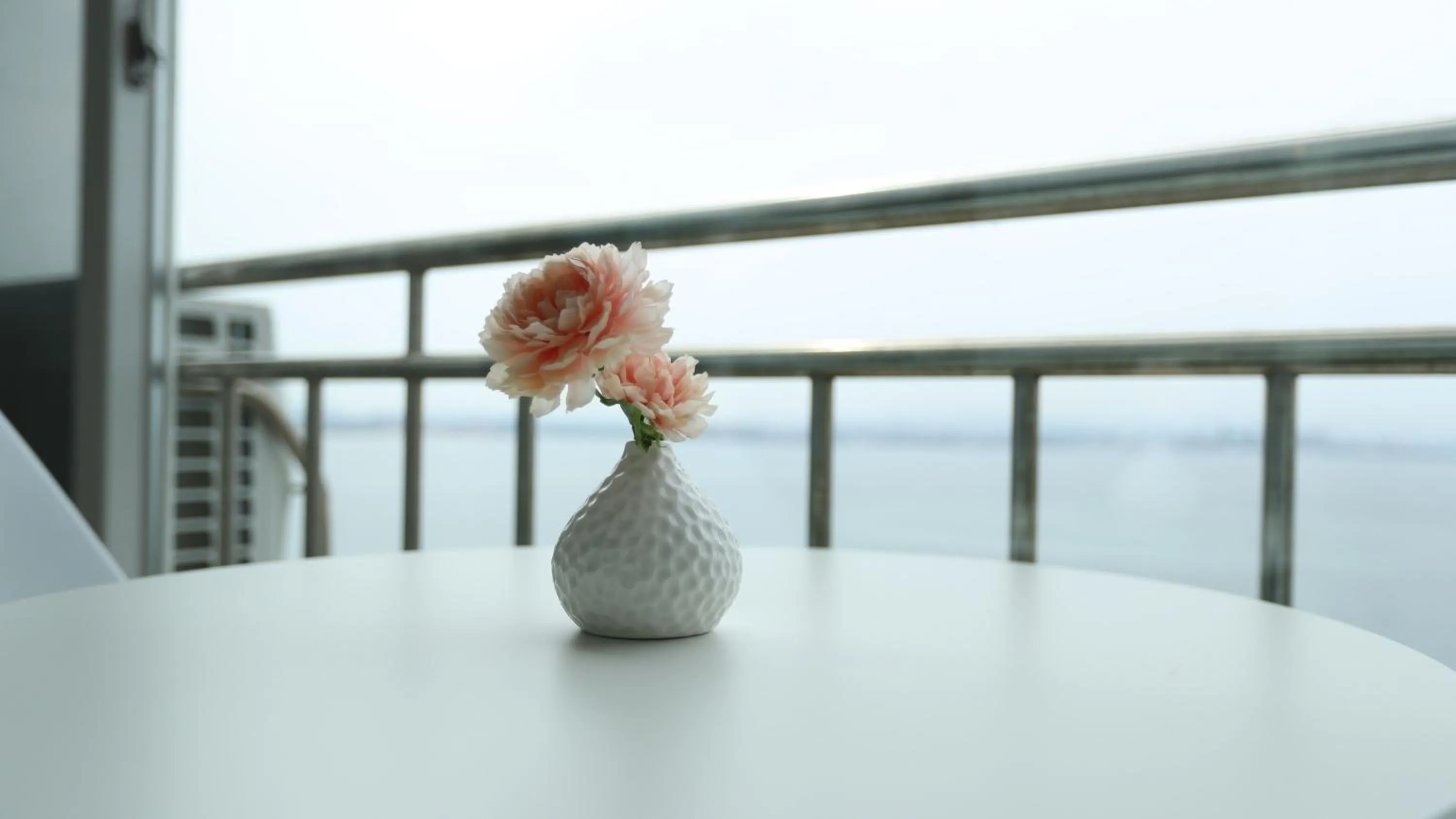 Balcony/Terrace in Hotel Marine