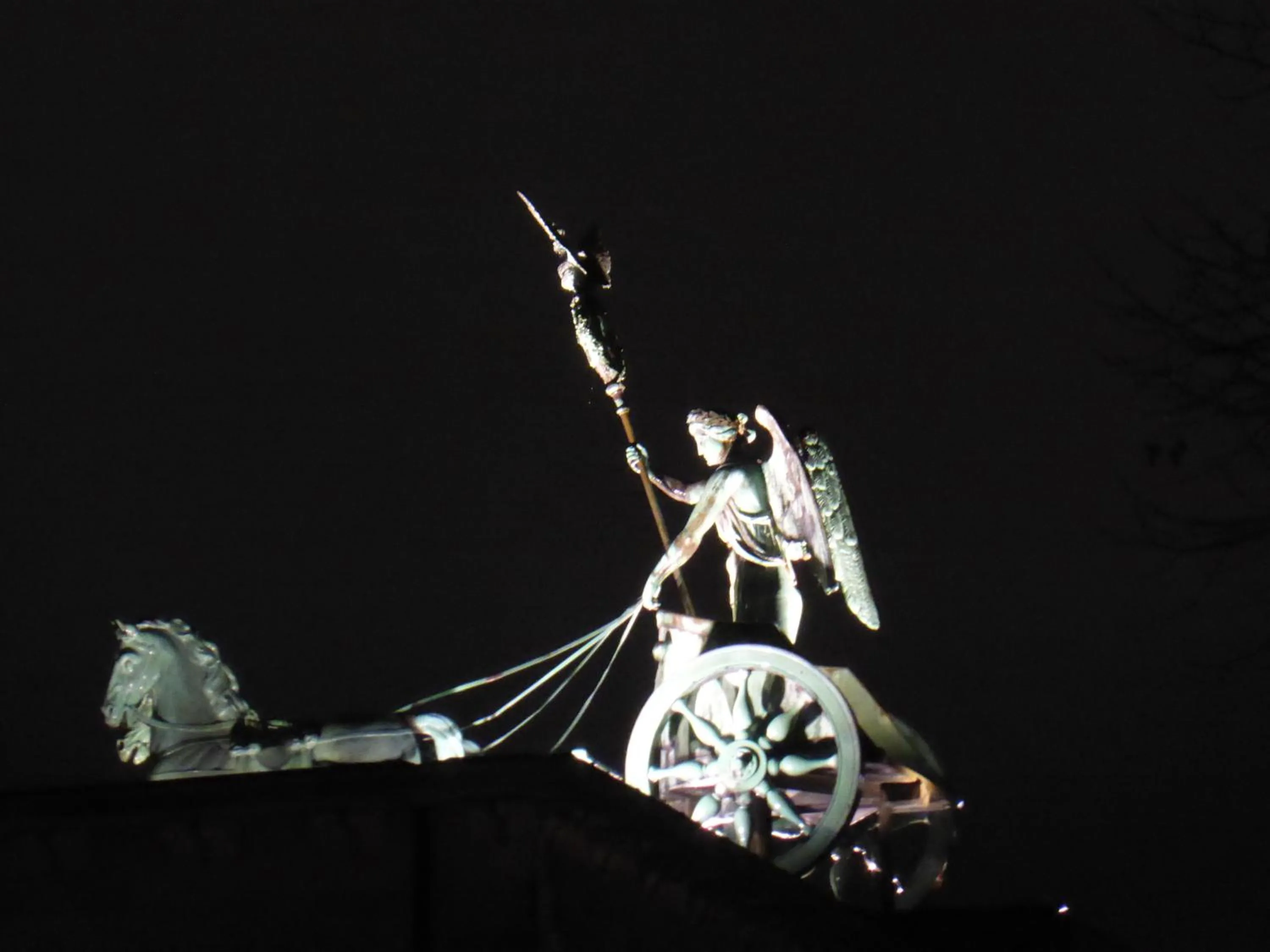 Area and facilities in Apartments Dahlie & Nelke