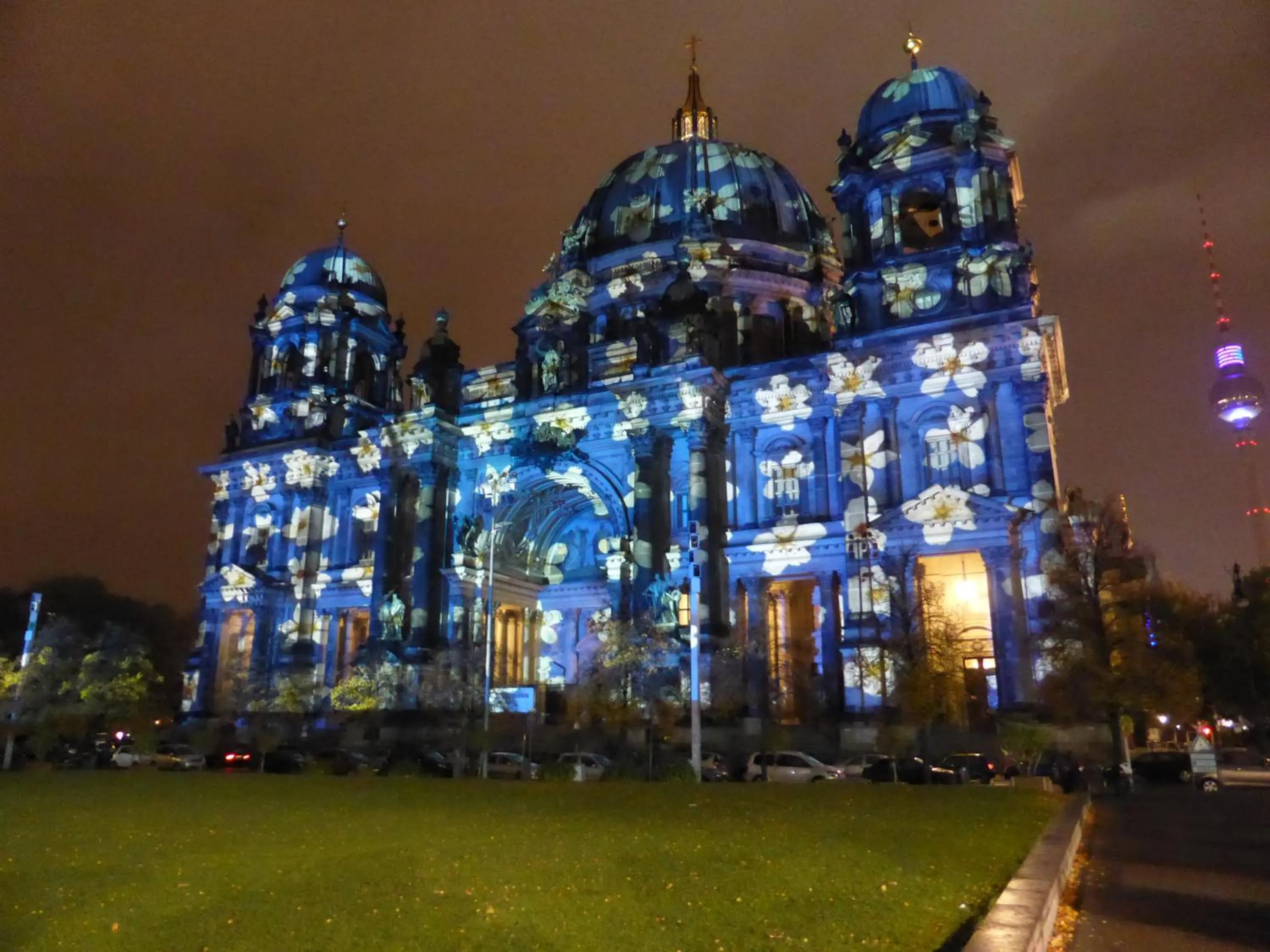 Area and facilities in Apartments Dahlie & Nelke