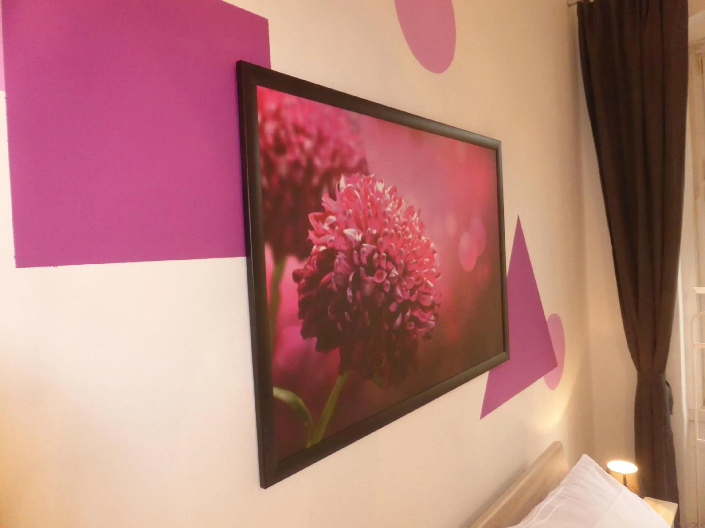 Photo of the whole room in Apartments Dahlie & Nelke