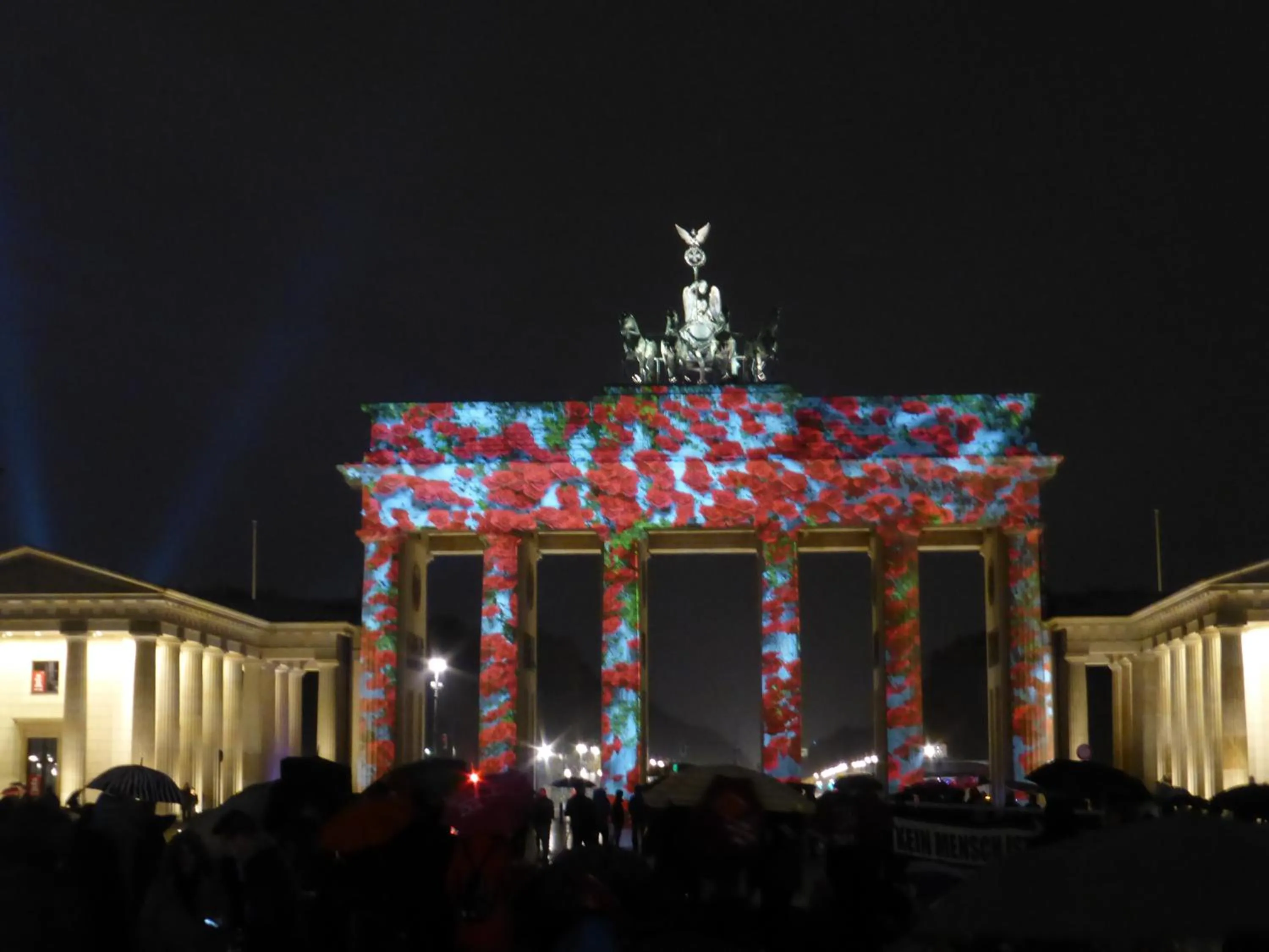 Area and facilities in Apartments Dahlie & Nelke