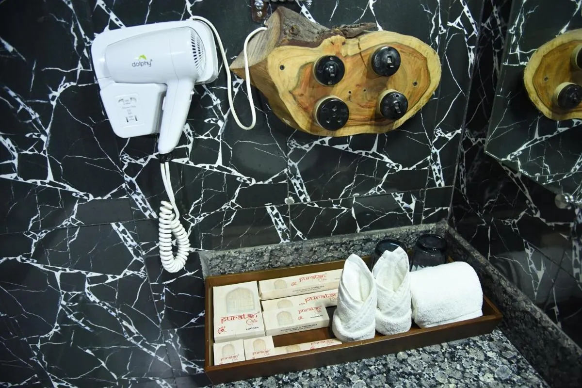 Bathroom in Puratan Qila