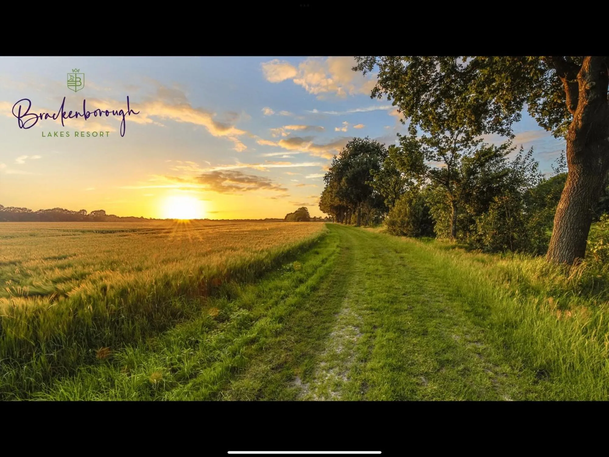 Natural landscape in Sure Studio by Best Western Brackenborough Lakes & Resort