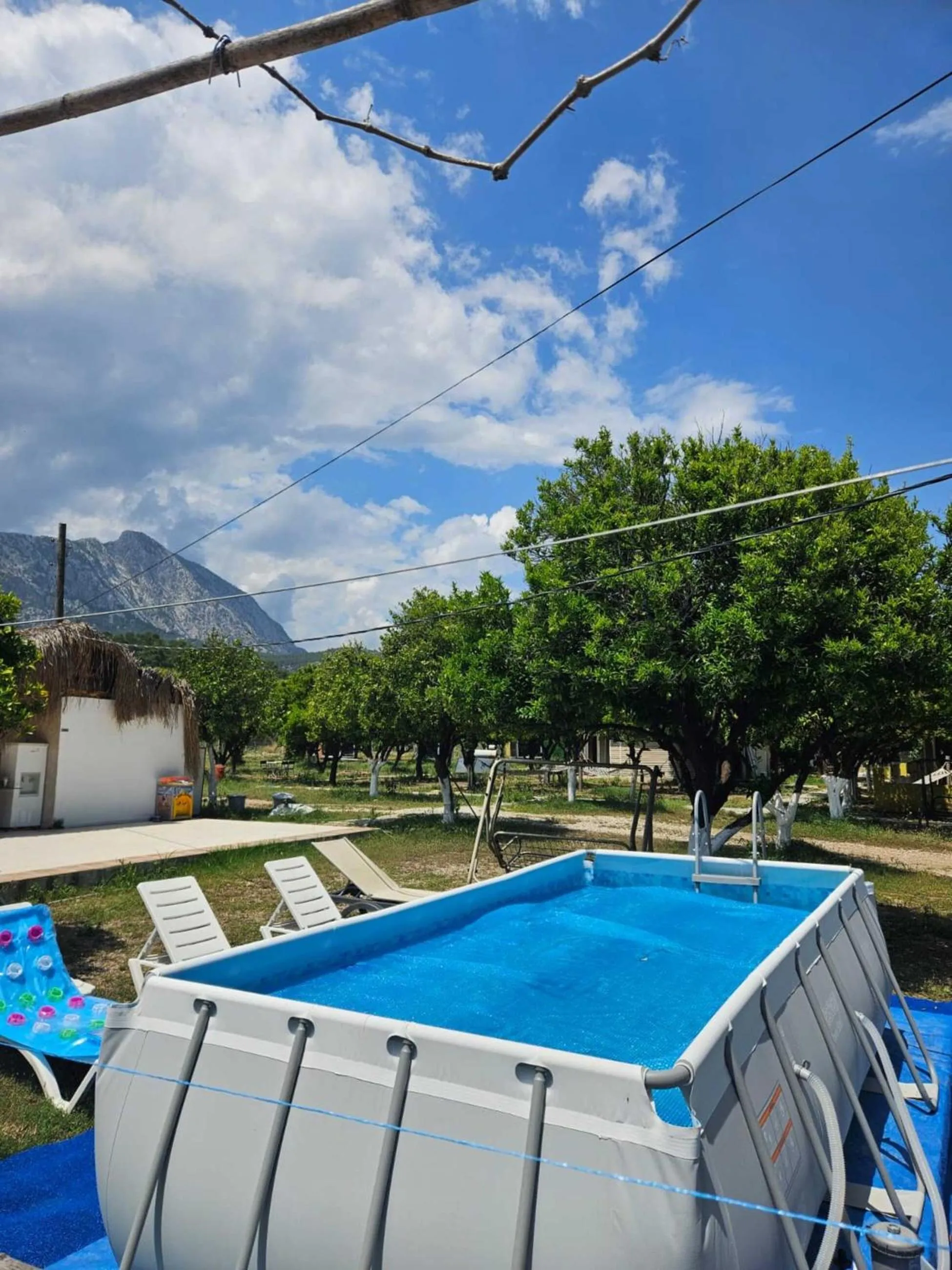 Day in ORANGE BEACH CAMP