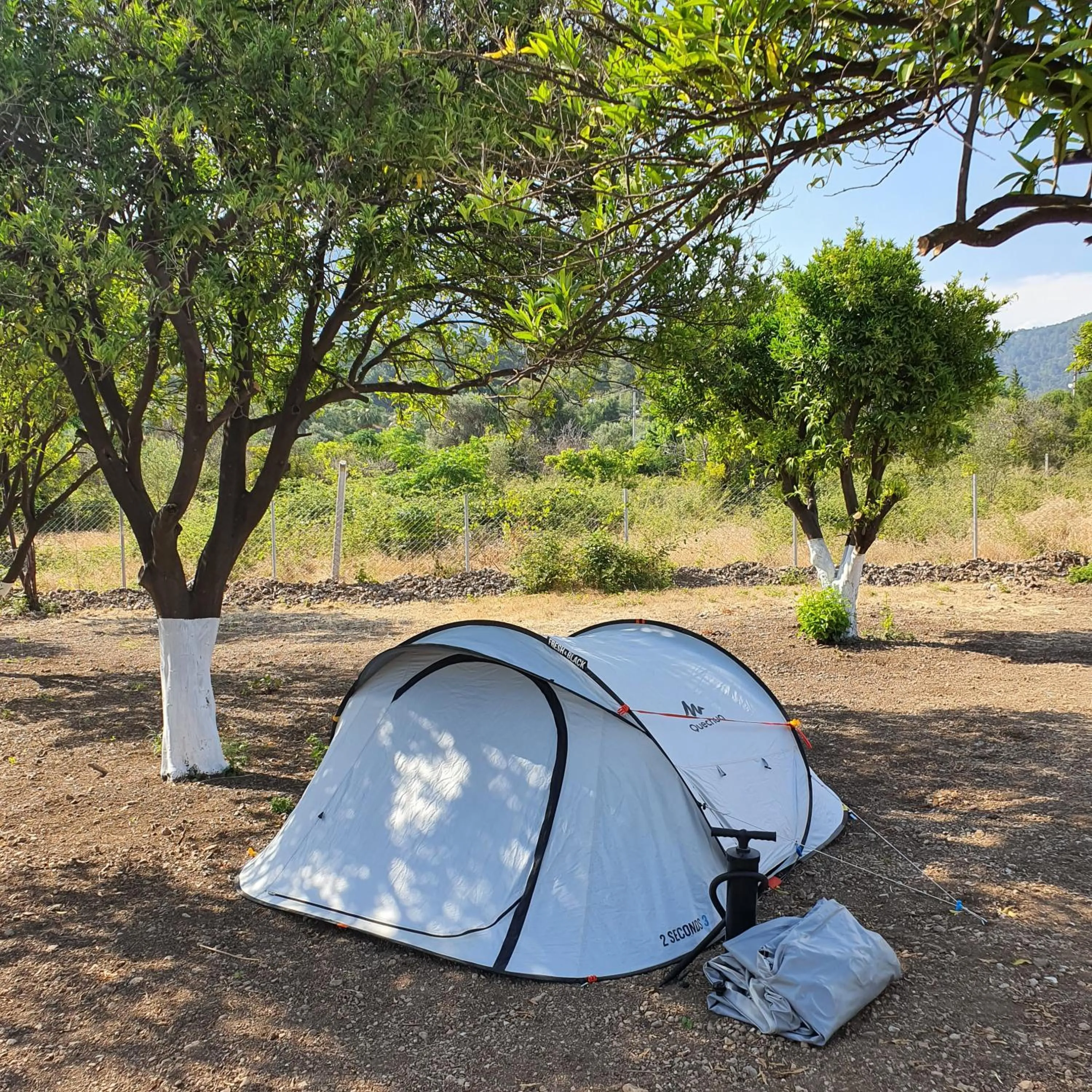 Day in ORANGE BEACH CAMP