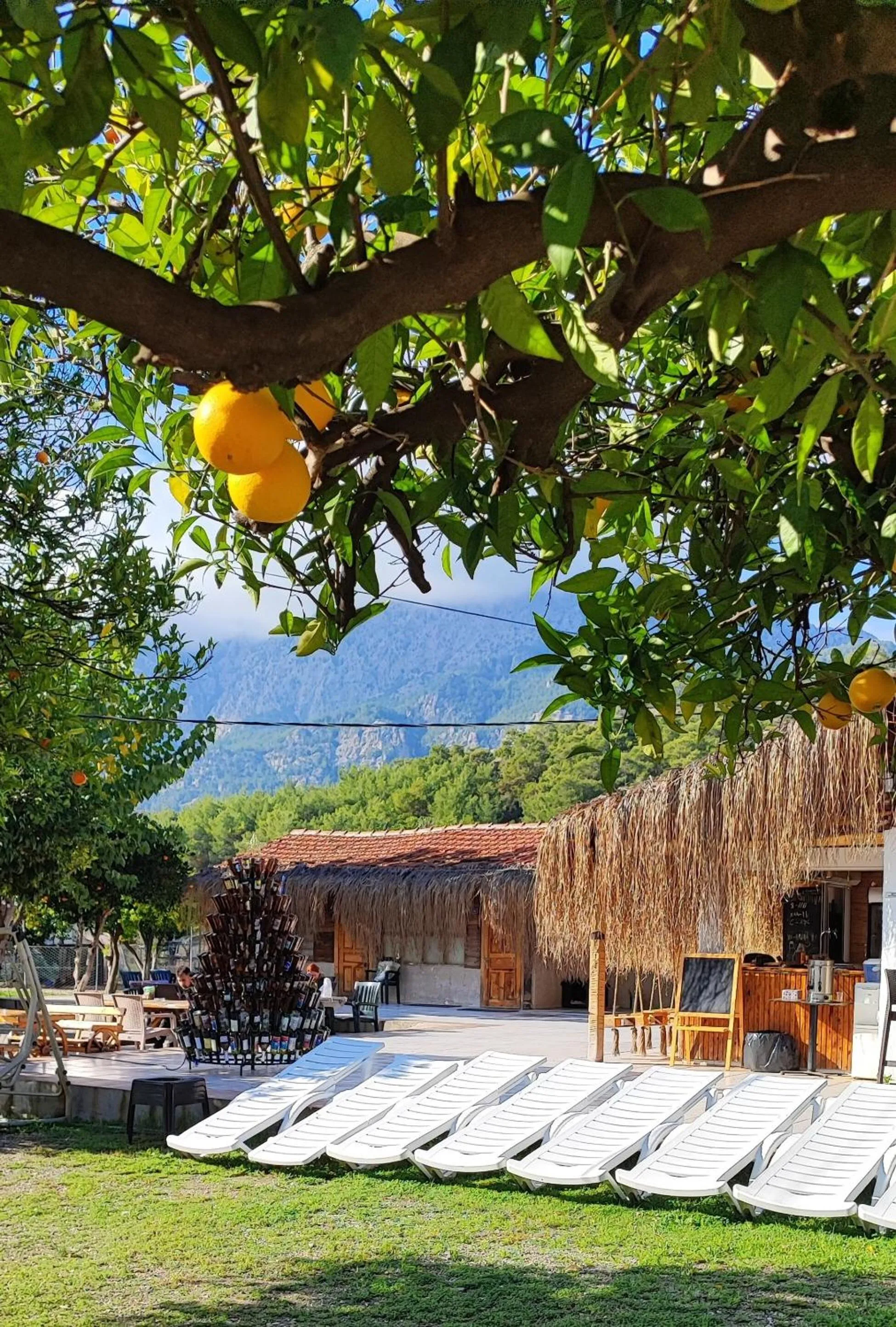 Day in ORANGE BEACH CAMP