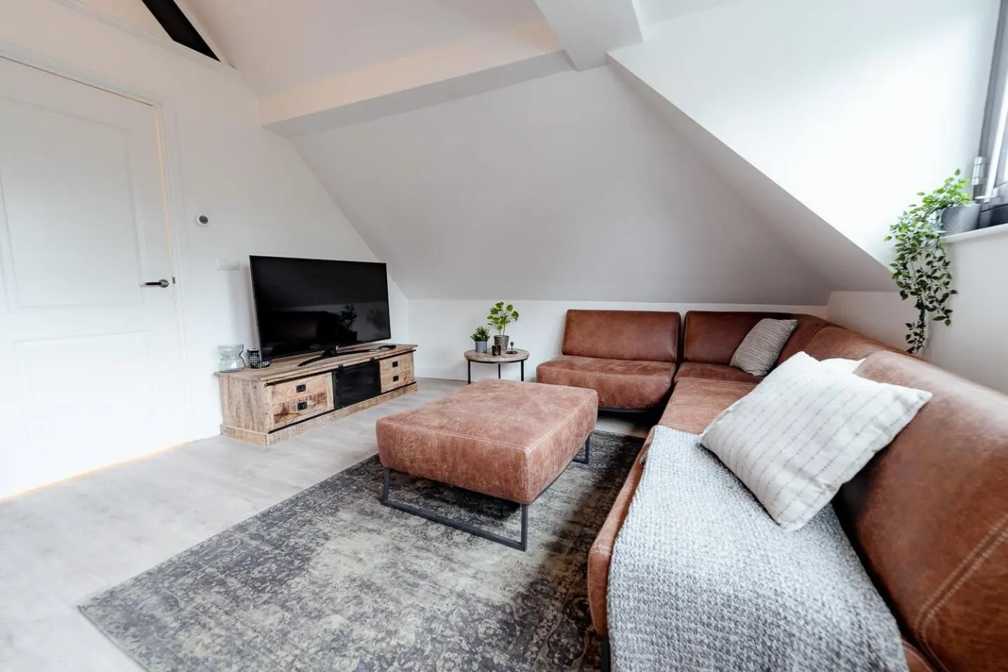 TV and multimedia in LVM Stays