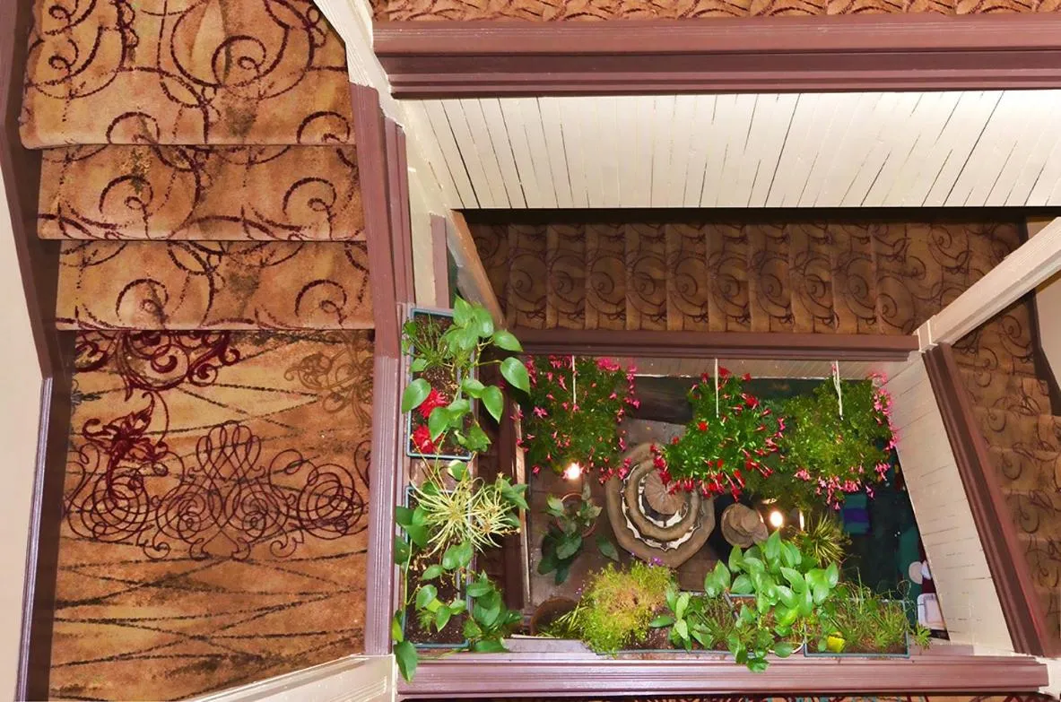 Garden in Water Street Inn