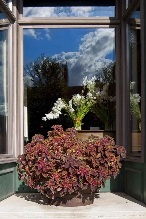 Area and facilities in Water Street Inn