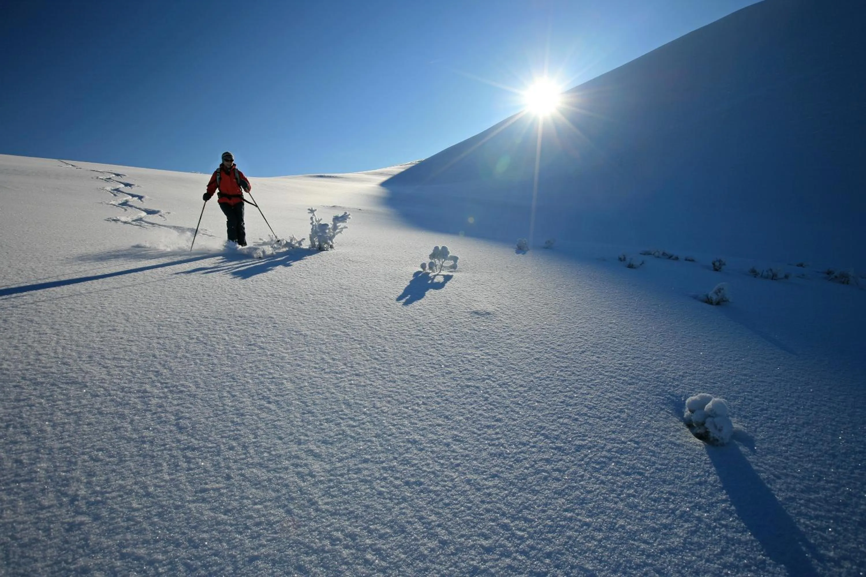 Area and facilities in Hotel Brunner - Reiteralm