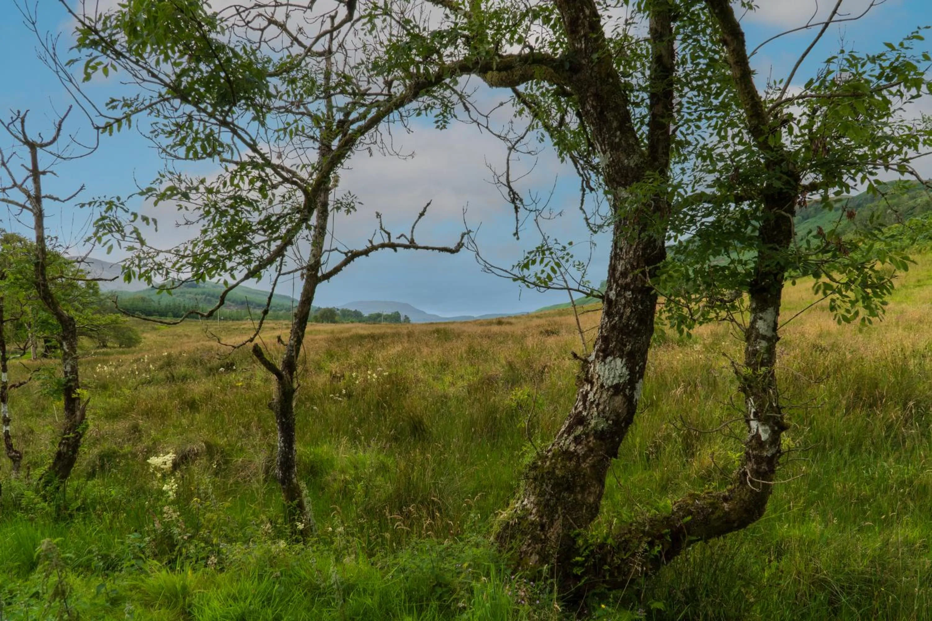 Killean Farmhouse B&B