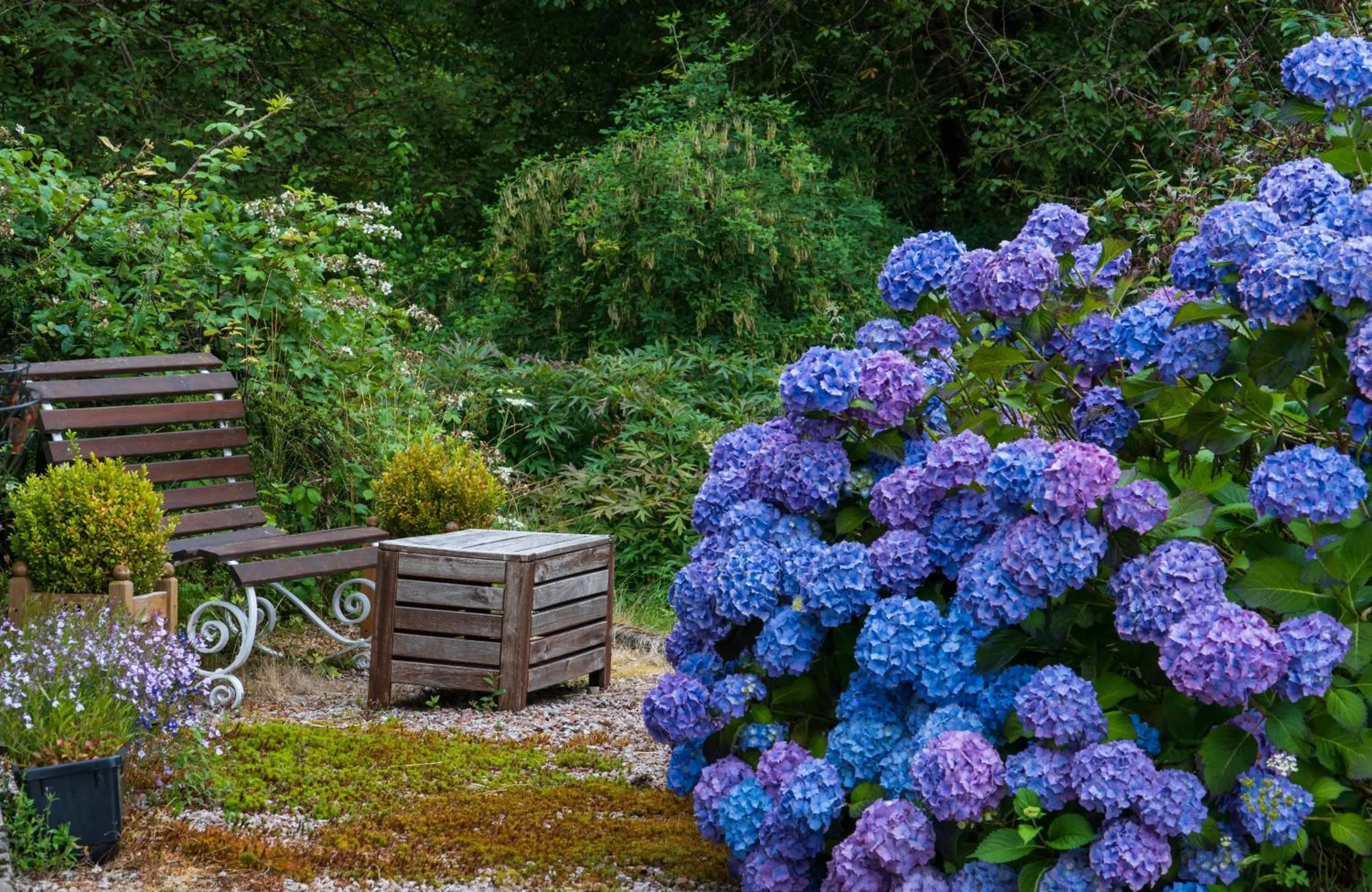Killean Farmhouse B&B